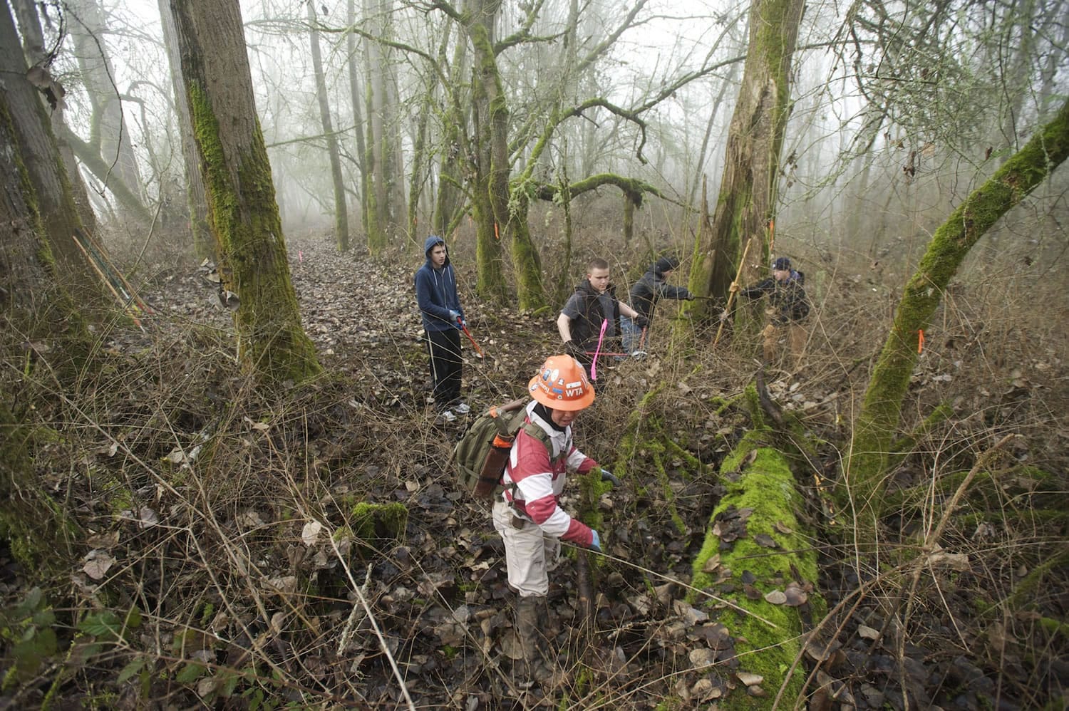 Volunteers clear brush in 2014 from a new trail at Vancouver Lake Park as part of the annual Martin Luther King Jr. Day of Service.
