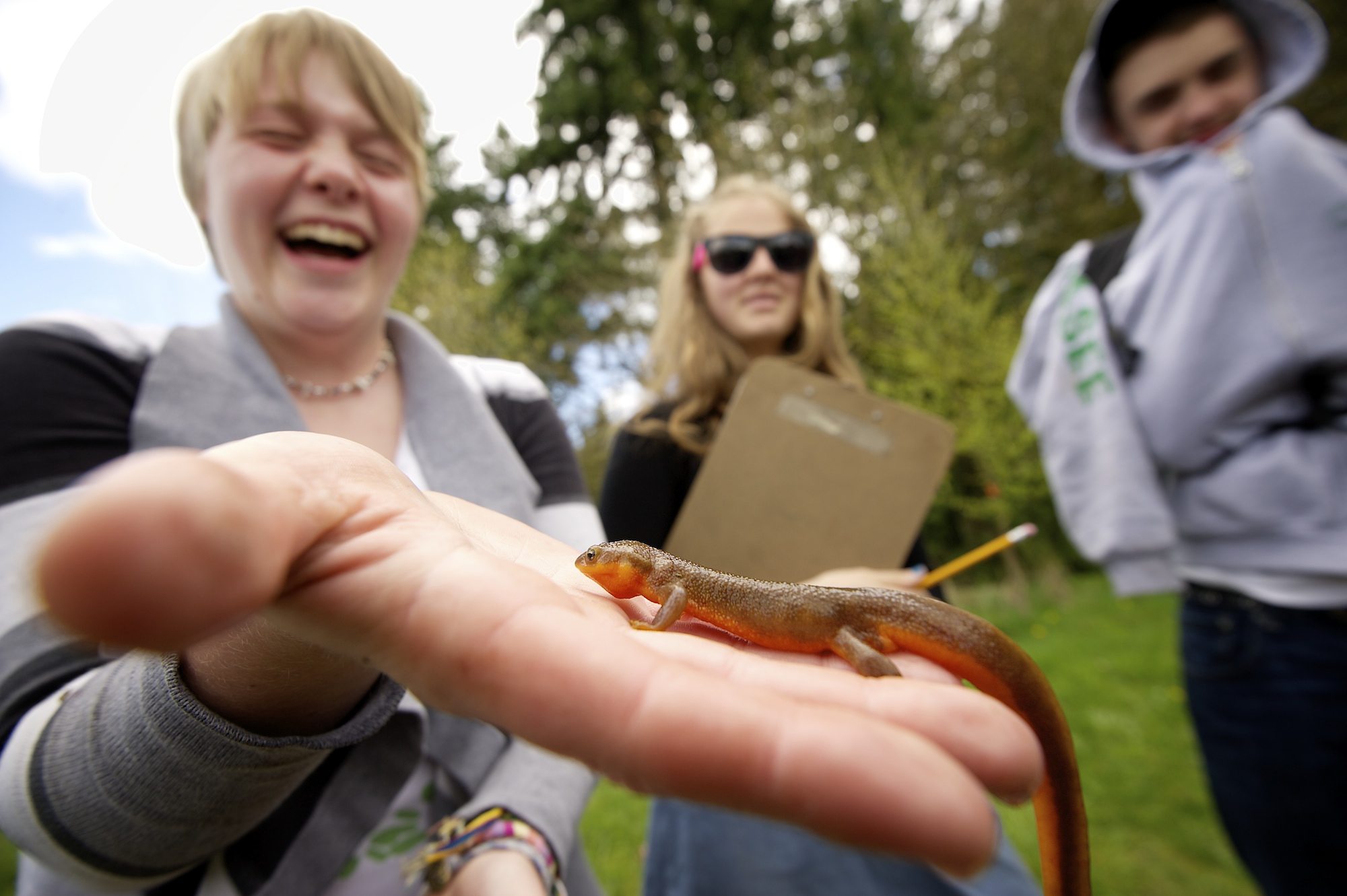 Moriah Howard, 14, holds a rough-skinned newt during an amphibian count at a pond in Brush Prairie.