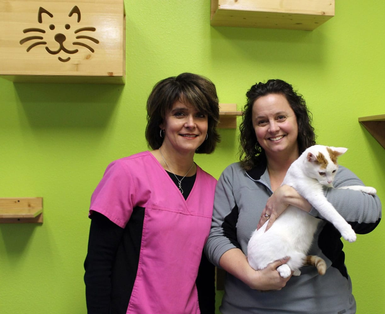 Fircrest: Cats Meow Luxury Boarding co-owners Jo Schmidt, left, and Amber Groff with Ollie at their cat sitting facility, which recently teamed up with Furry Friends to open an adoption room.