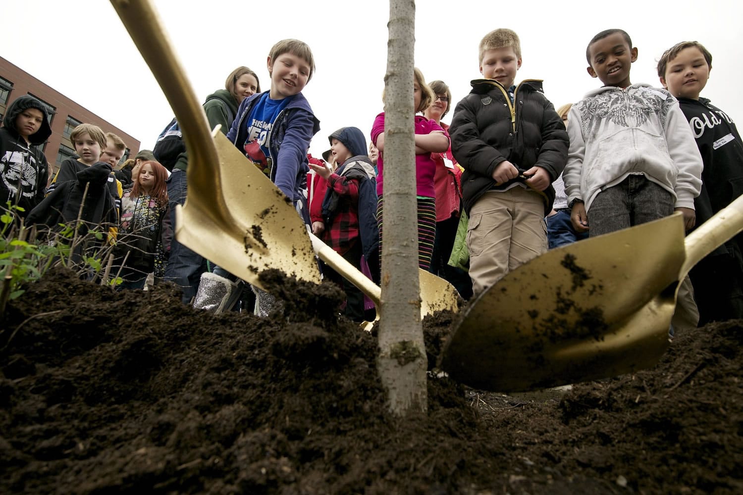 Marisa Dahlberg, 9, left in blue, of Hough Elementary School helps plant a deciduous green vase Zelkova, this year's official Arbor Day tree.