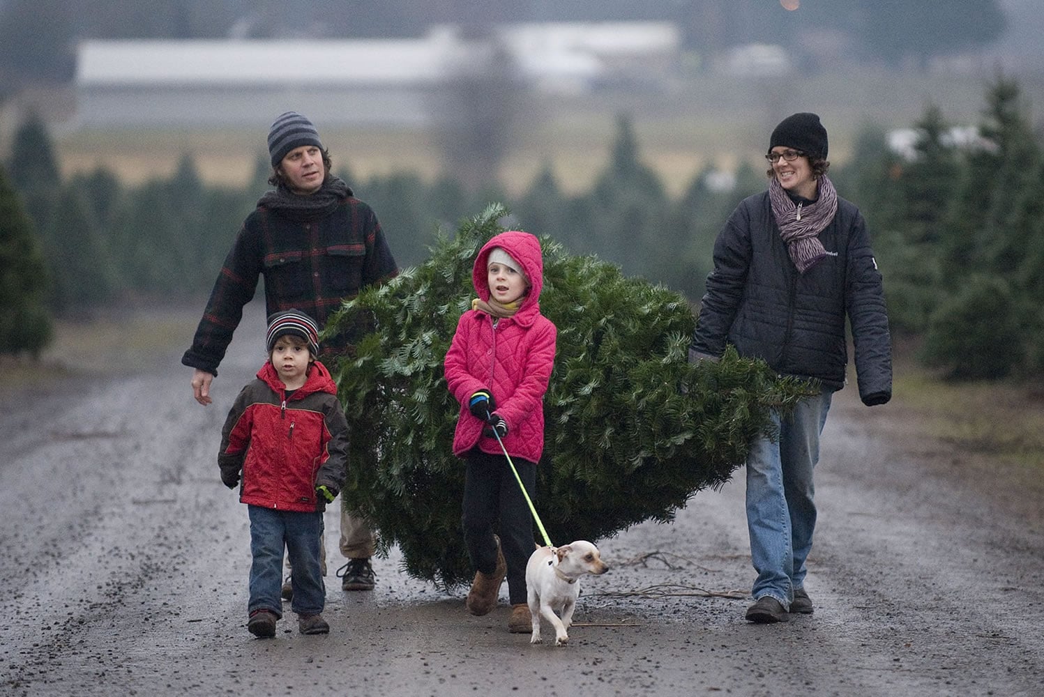 The Olson family, from left, Abraham, 4, David, Agatha, 8, with Captain, and Jodi, ventured from Portland to Thornton's Treeland in Vancouver for the family Christmas tree on Sunday.