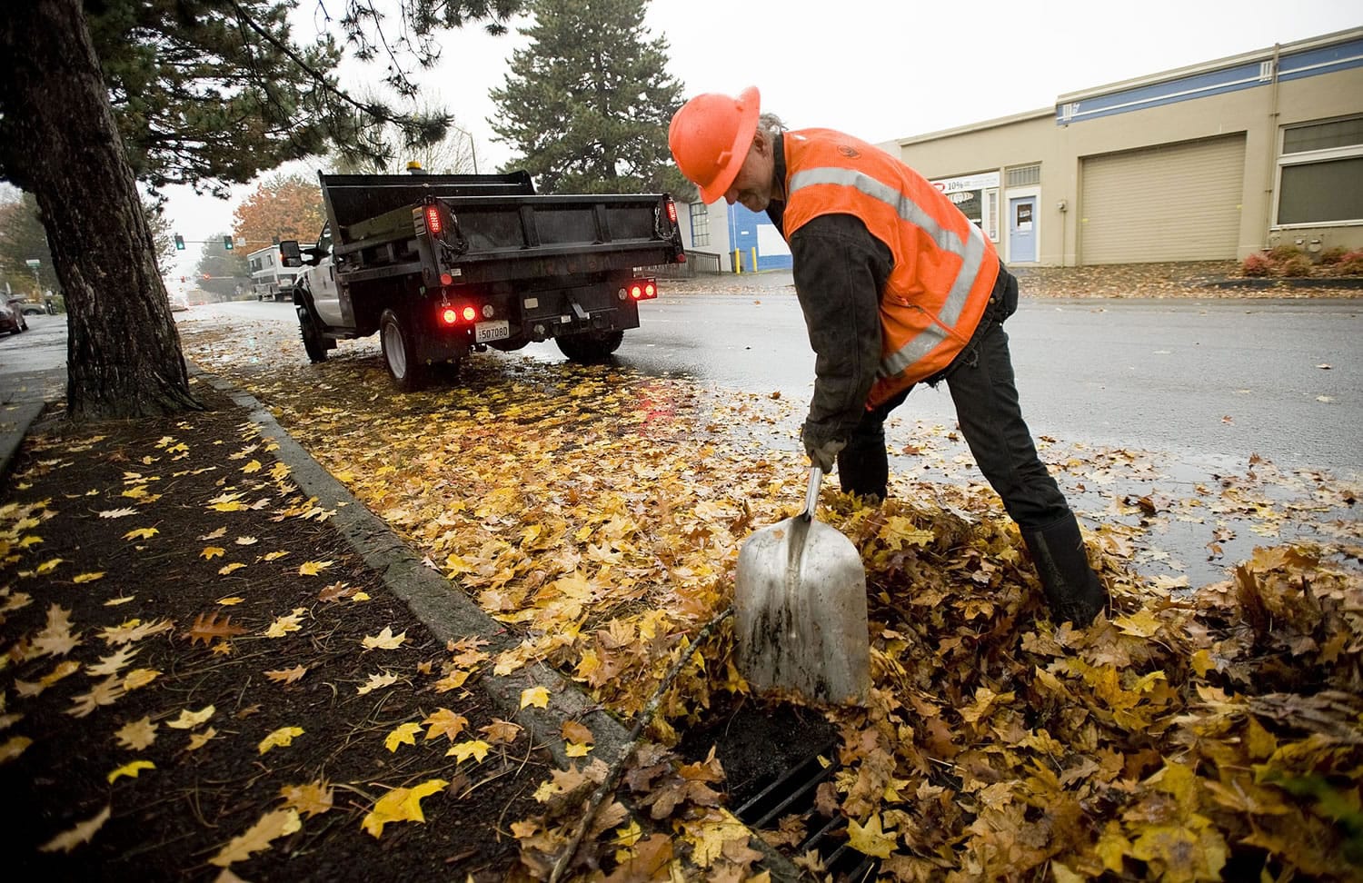 Bill Lamkin, part of the city of Vancouver's stormwater management team, clears leaves from a drain at the intersection of East 15th Street and Broadway in this file photo.