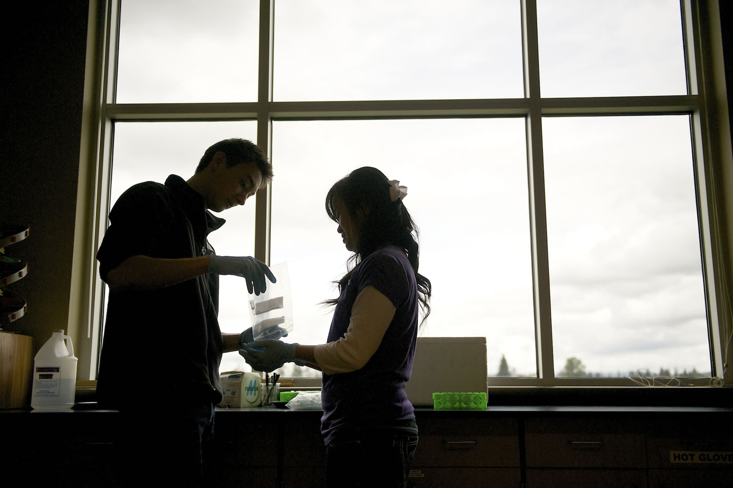 David Thompson, left, and Linda Pham are in a class at Clark College that's one of only three in the state to take part in a global effort to fight back a fungus that's wiping out wheat fields.