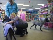Mary Keliikoa, kneeling, helps fit Diana Rogers' dog Katie with a winter coat while Missy, right, waits for her turn.