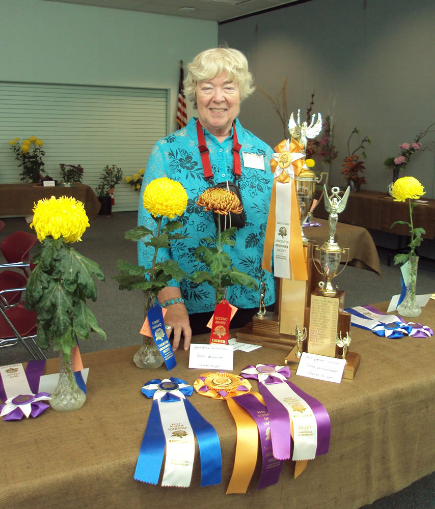 Hudson's Bay: Loraine Allinger of Hockinson won seven awards at Vancouver Chrysanthemum Society's annual flower show in Vancouver.