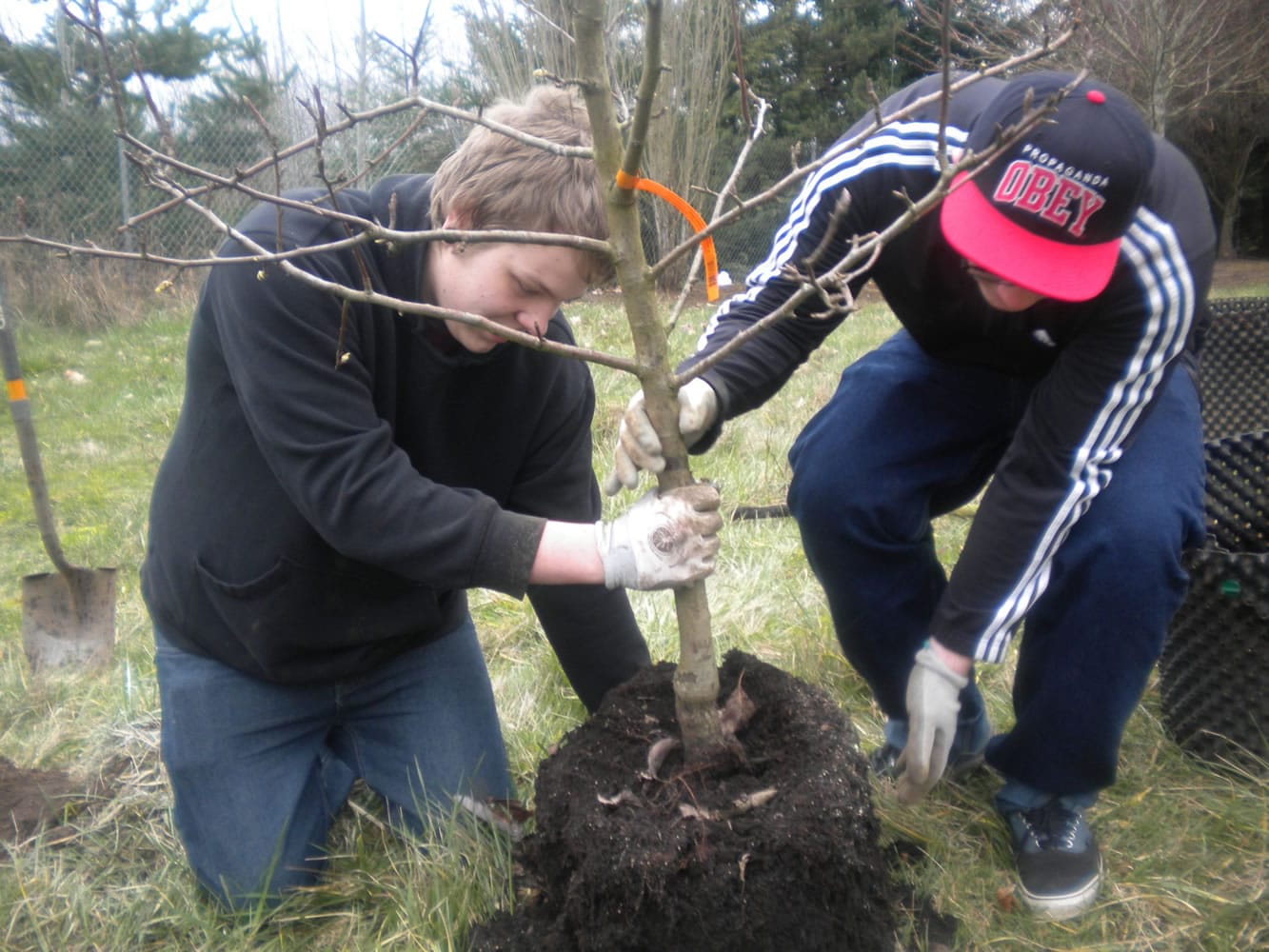 Bagley Downs: Jason Krieger, left, and Devan Rutherford plant trees at the Columbia River Mental Health garden.