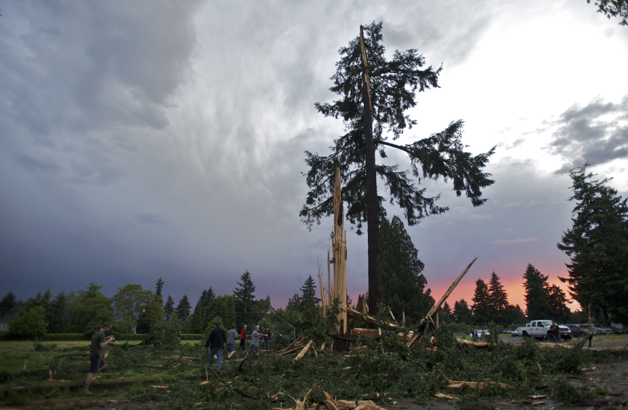 A crowd gathers to see damage caused by a lightning strike to two trees across Mill Plain Boulevard from Hudson's Bay High School on Friday.