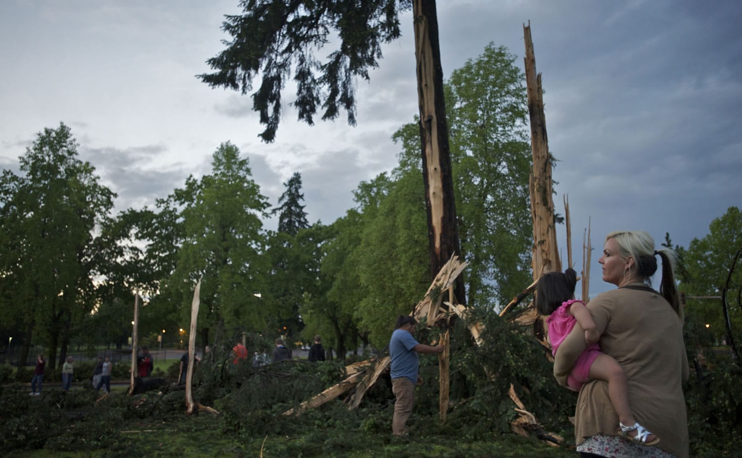 A crowd gathers to see damage caused by a lightning strike to two trees across Mill Plain Boulevard from Hudson's Bay High School on Friday evening.