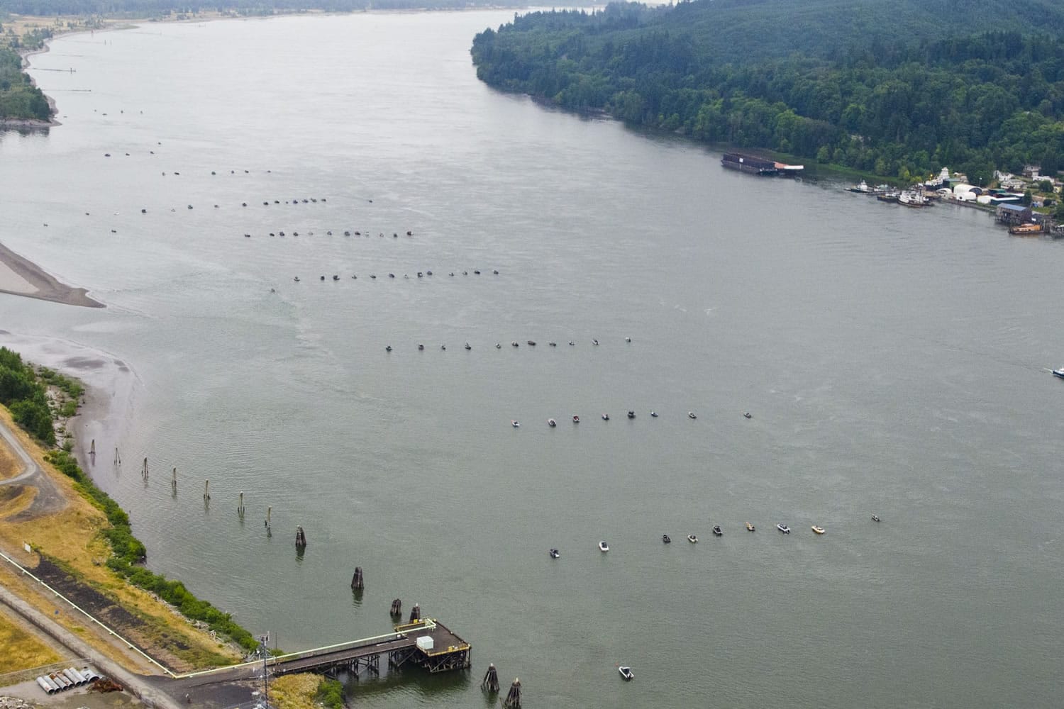 About 80 boats were anchored in the Columbia just downstream of the Cowlitz River mouth fishing for salmon and steelhead on Saturday.