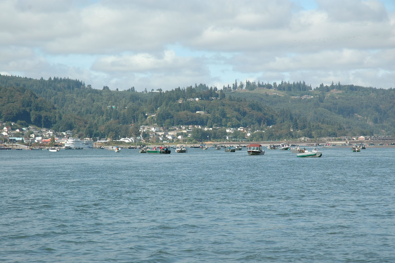 Hundreds of boats a day are fishing the Columbia River between the mouth of the Cowlitz and the Longview-Rainier bridge.