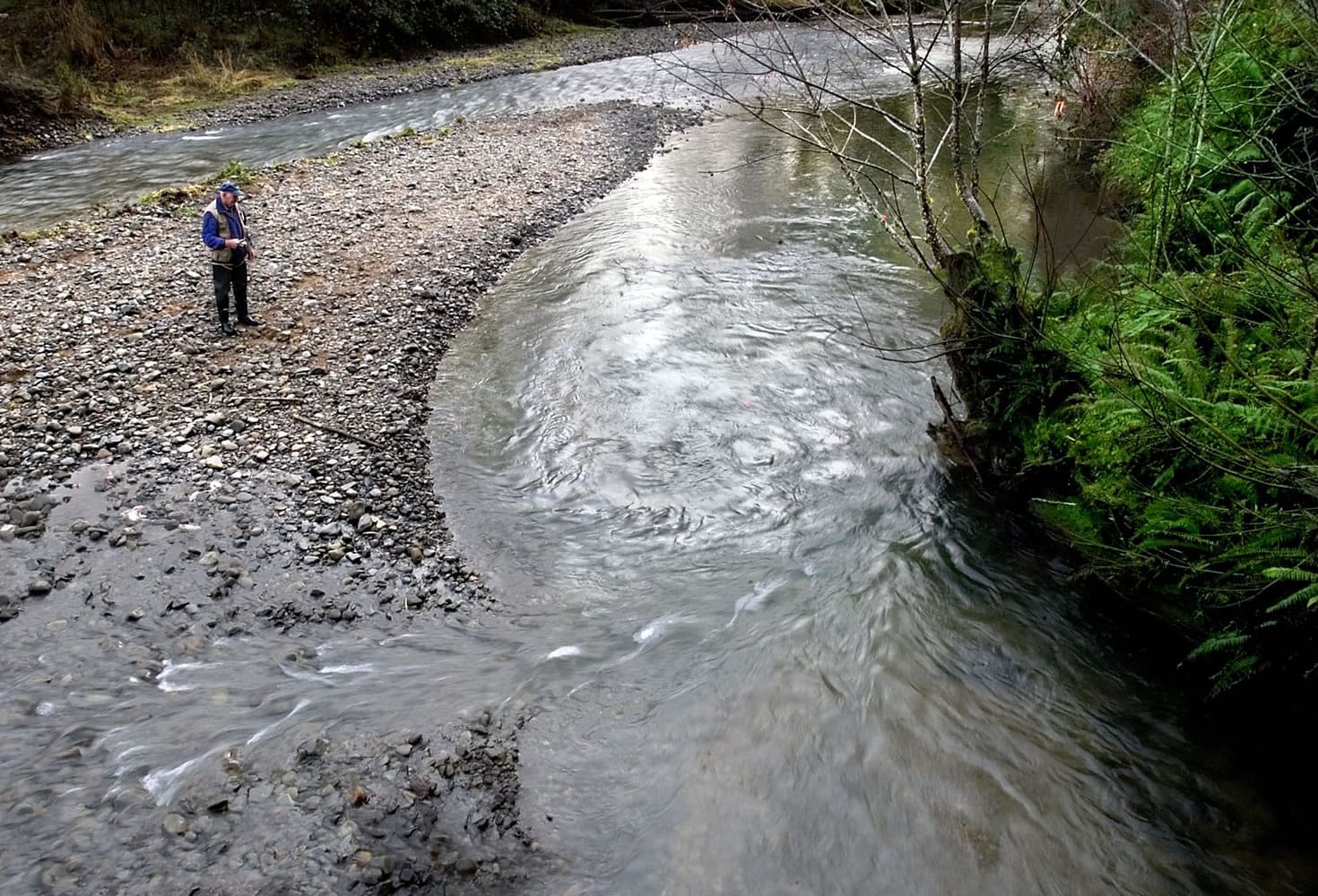 A lone fisherman tries his luck in the shallow waters of Grays River at the Grays River Hatchery.