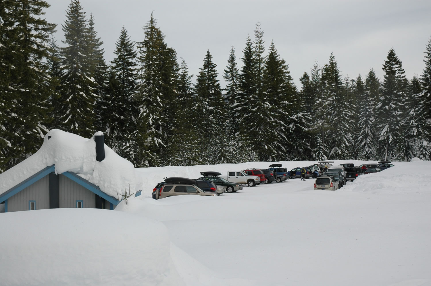 Koshko Sno-Park at the Upper Wind River Sports Area will be designated for snowmobile use this winter