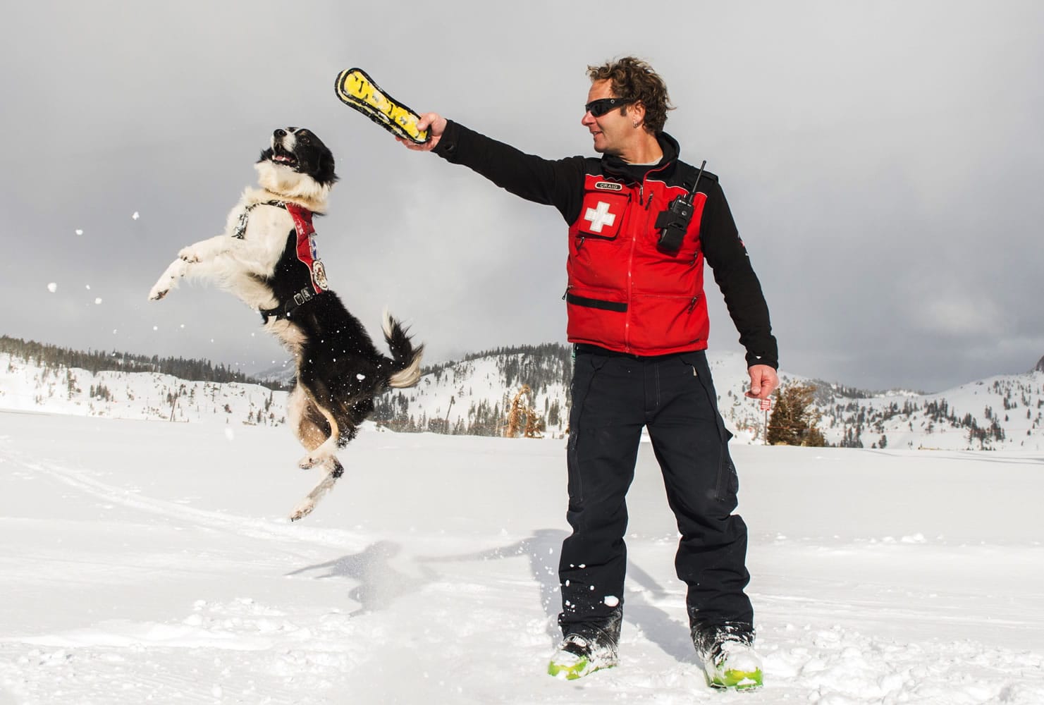 Dog supervisor Craig Noble puts his border collie Wylee through some paces on the mountain in Olympic Valley, Calif. He has Squaw Valley Alpine Meadows and Crested Butte Mountain Resort all up to the same Canadian Avalanche Rescue Dog Association standards.