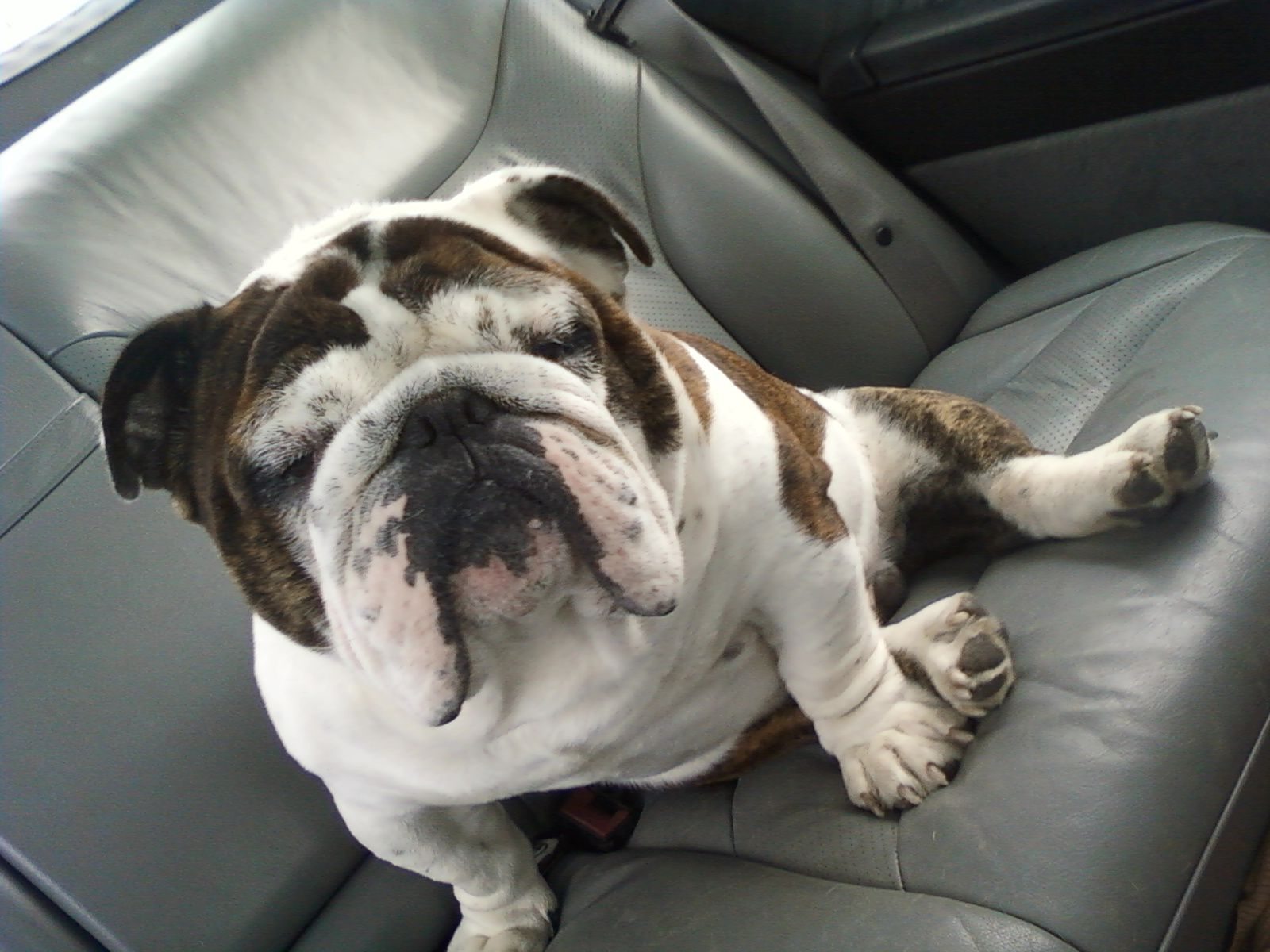 A Kelso man was sentenced Thursday to more than three years in prison for his role in kidnapping the bulldog Jagger in Woodland and holding it for ransom.