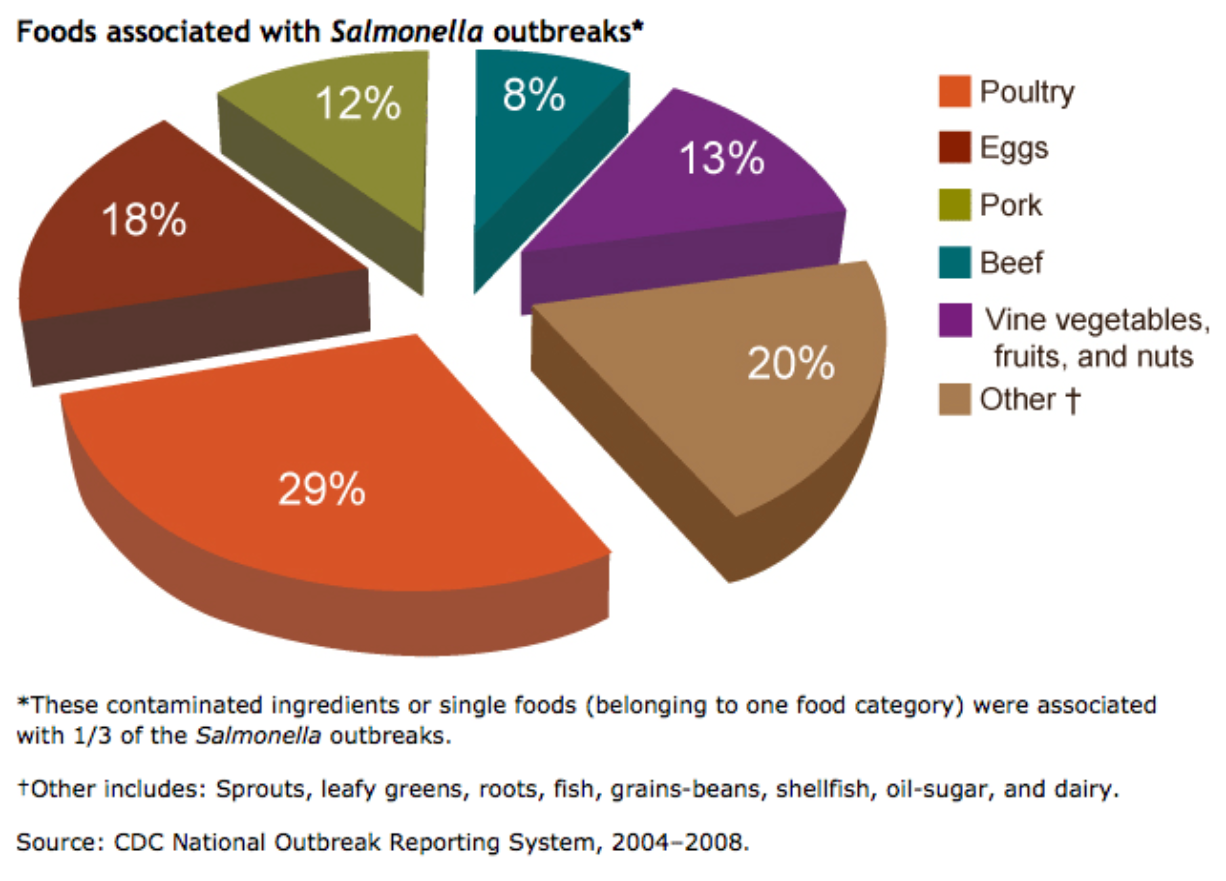 Salmonella Chart