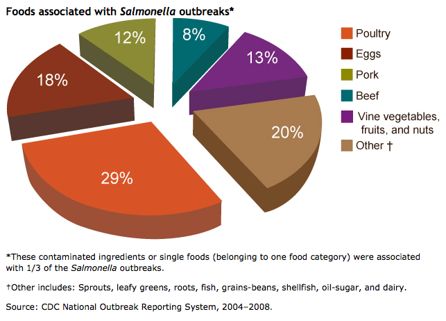 Foodborne infections have decreased by nearly 25 percent in the past 15 years, but more than 1 million people in the United States become ill from Salmonella each year, according to the Centers for Disease Control and Prevention.