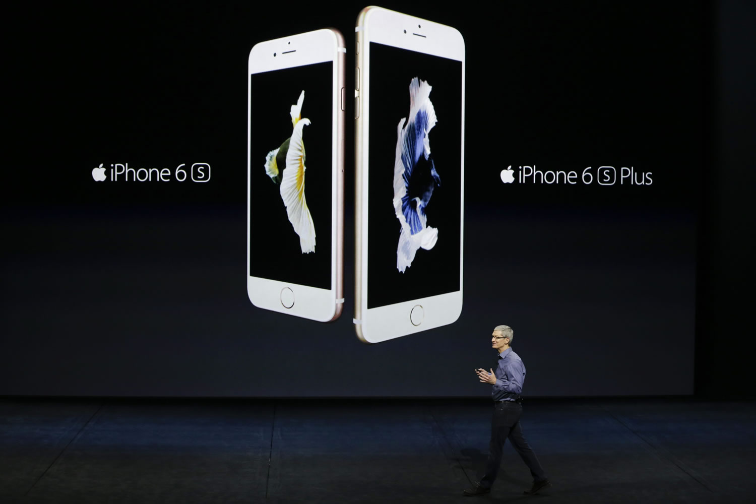 FILE - In this Wednesday, Sept. 9, 2015, file photo, Apple CEO Tim Cook discusses the new iPhone 6s and iPhone 6s Plus during the Apple event at the Bill Graham Civic Auditorium in San Francisco. Most analysts believe Apple surpassed its own record by selling more than 74.5 million iPhones in the final three months of 2015. But there are signs that iPhone sales in the first three months of 2016 will show an abrupt decline from the same period a year earlier.