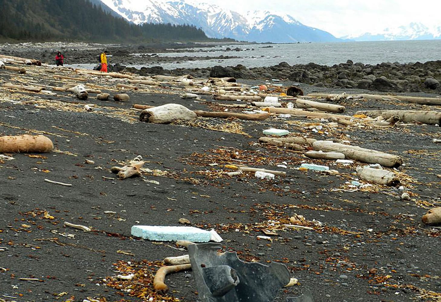 In this June 6, 2012 photo provided by Chris Pallister, debris is strewn across the shore of Montague Island near Seward, Alaska. More than a year after a tsunami devastated Japan, killing thousands of people and washing millions of tons of debris into the Pacific Ocean, neither the U.S. government nor some West Coast states have a clear plan for how to clean up the rubble that floats to American shores.