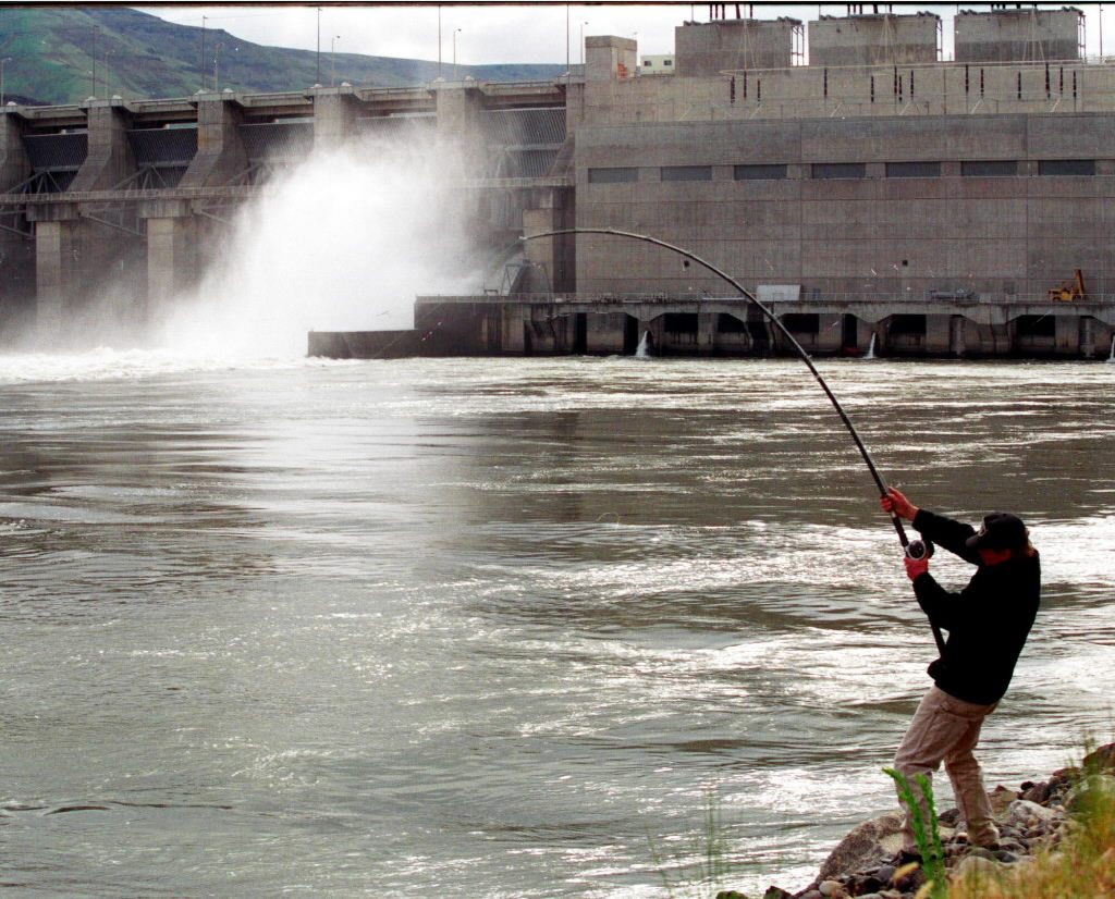 A federal judge in Oregon has rejected the Obama administration's plan to protect endangered salmon as too vague and said it is time to consider new options, including removing some of Northwest dams.