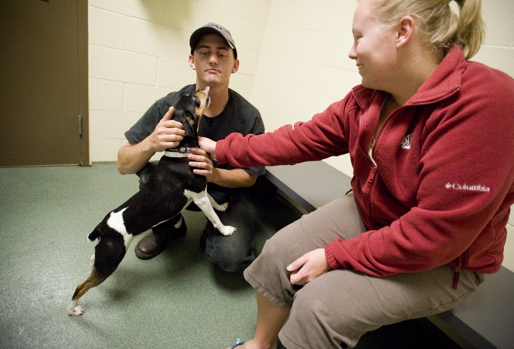 Ty Collins, 26, and Kelsi O'Connor, 25, of Washougal play with Moe, a rat terrier mix at the Humane Society for Southwest Washington on October 3, 2010. The couple decided to adopt Moe.