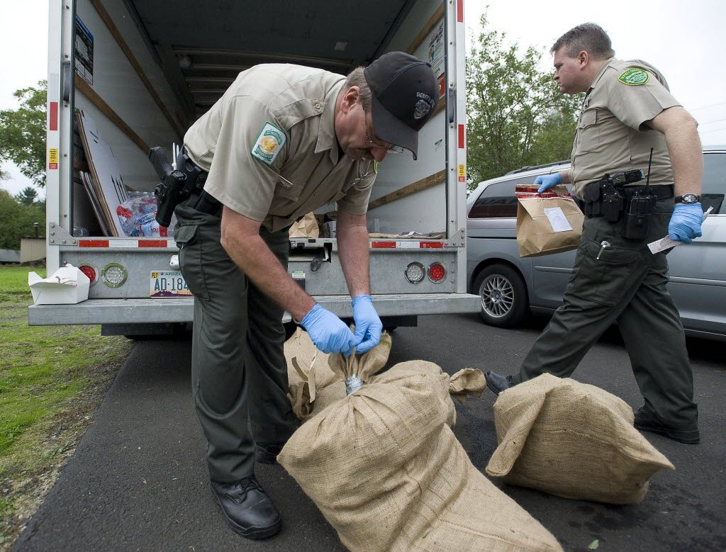 Clark County Sheriff's deputy James Naramore tags a bag of marijuana while processing evidence after serving a warrant at a home in the Orchards area as part of the Operation Gang Green raids on dozens of Clark County homes on October 13.