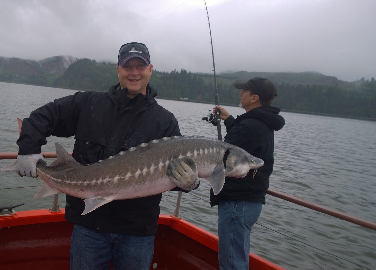 Washington's Fish and Wildlife Commission has directed the Department of Fish and Wildlife to discuss with Oregon eliminating catch-and-release sturgeon angling in the lower Columbia River.