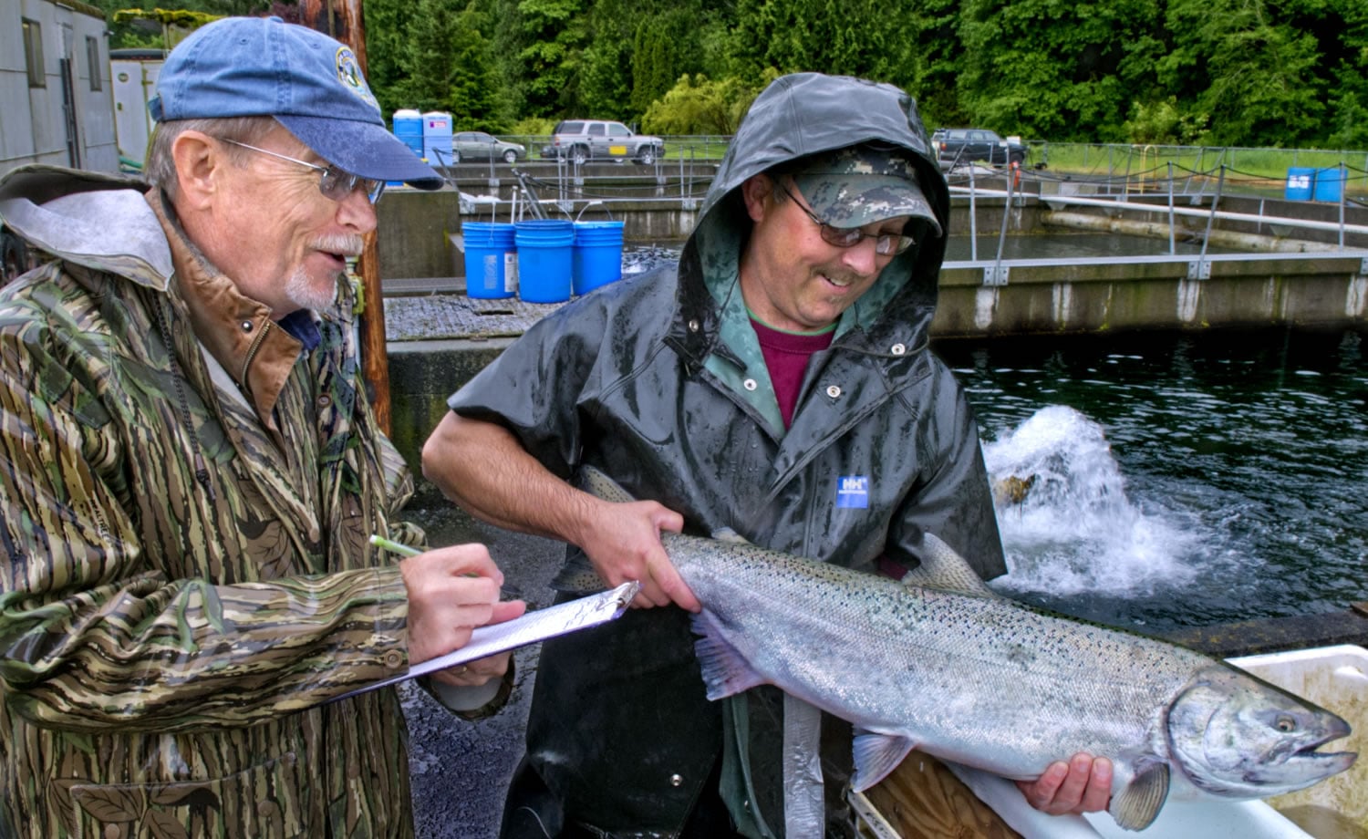 Hal Mahnke, left, and Shawn Collins, assistant manager at Kalama Falls Hatchery, admire a wild spring chinook salmon.