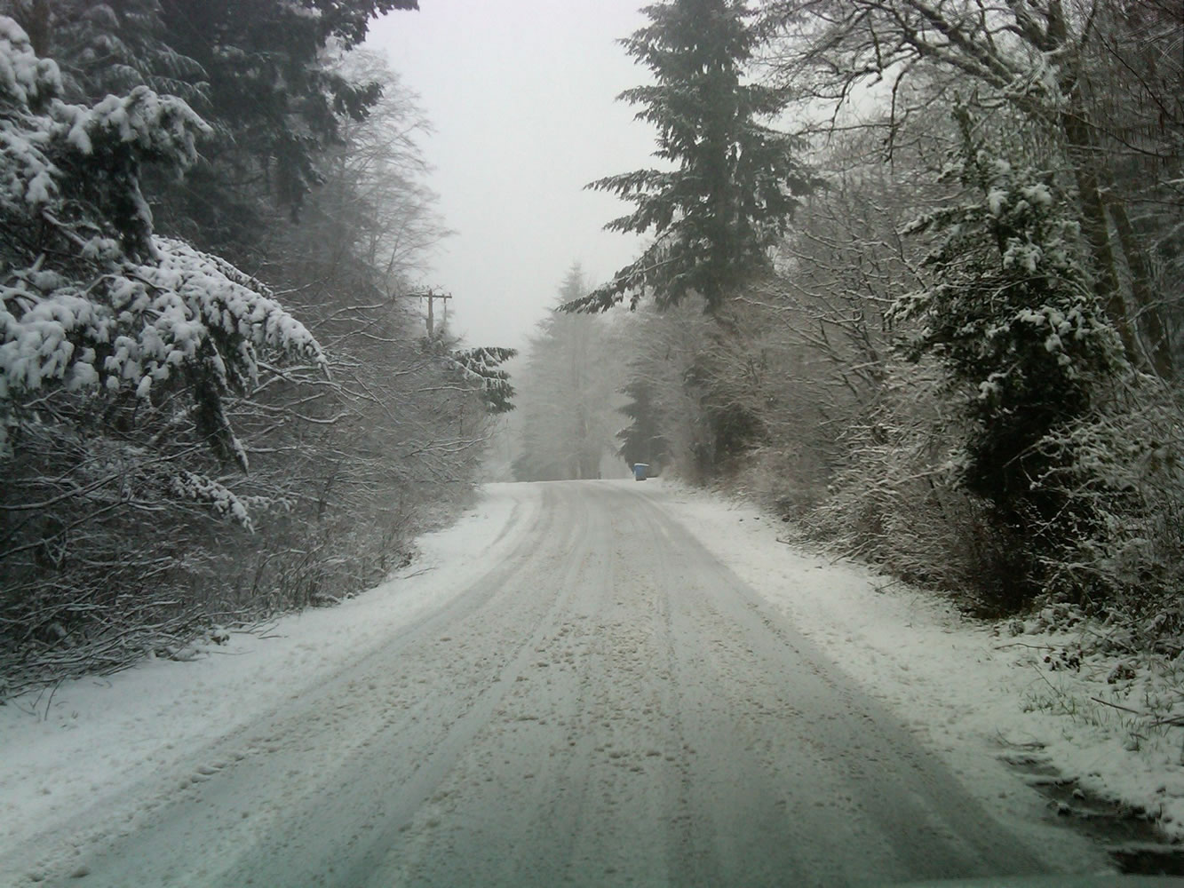 Snow covers the ground at the 900-foot elevation level of Livingston Mountain east of Vancouver early Saturday afternoon.