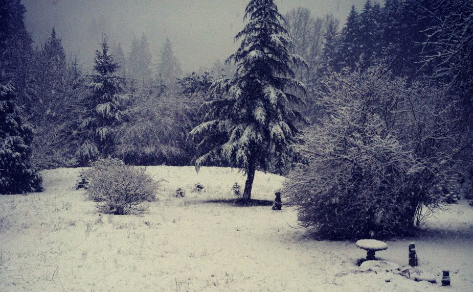 Alina Ferguson of La Center snapped this photo of snow Tuesday morning.