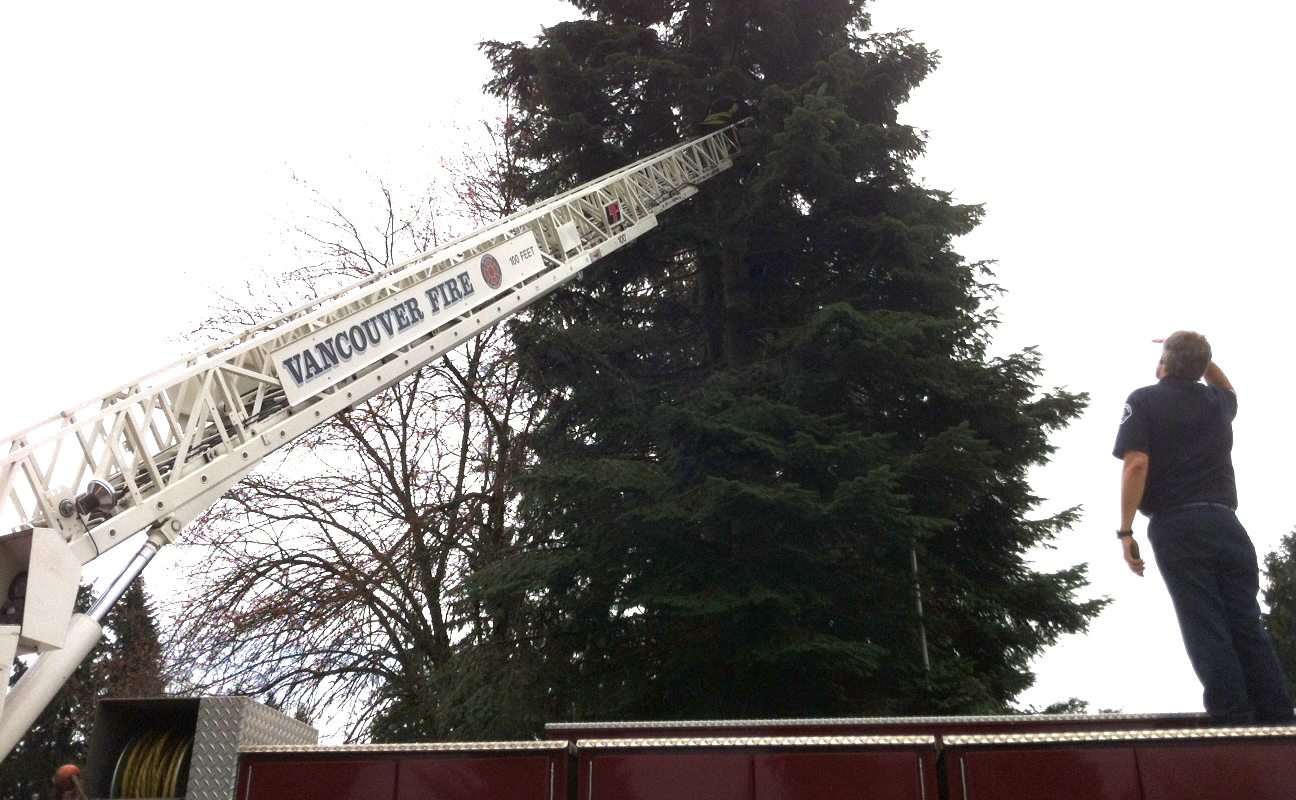 Firefighters with the Vancouver Fire Department helped two boys get out of a tree in the Sunnyside neighborhood Monday afternoon.