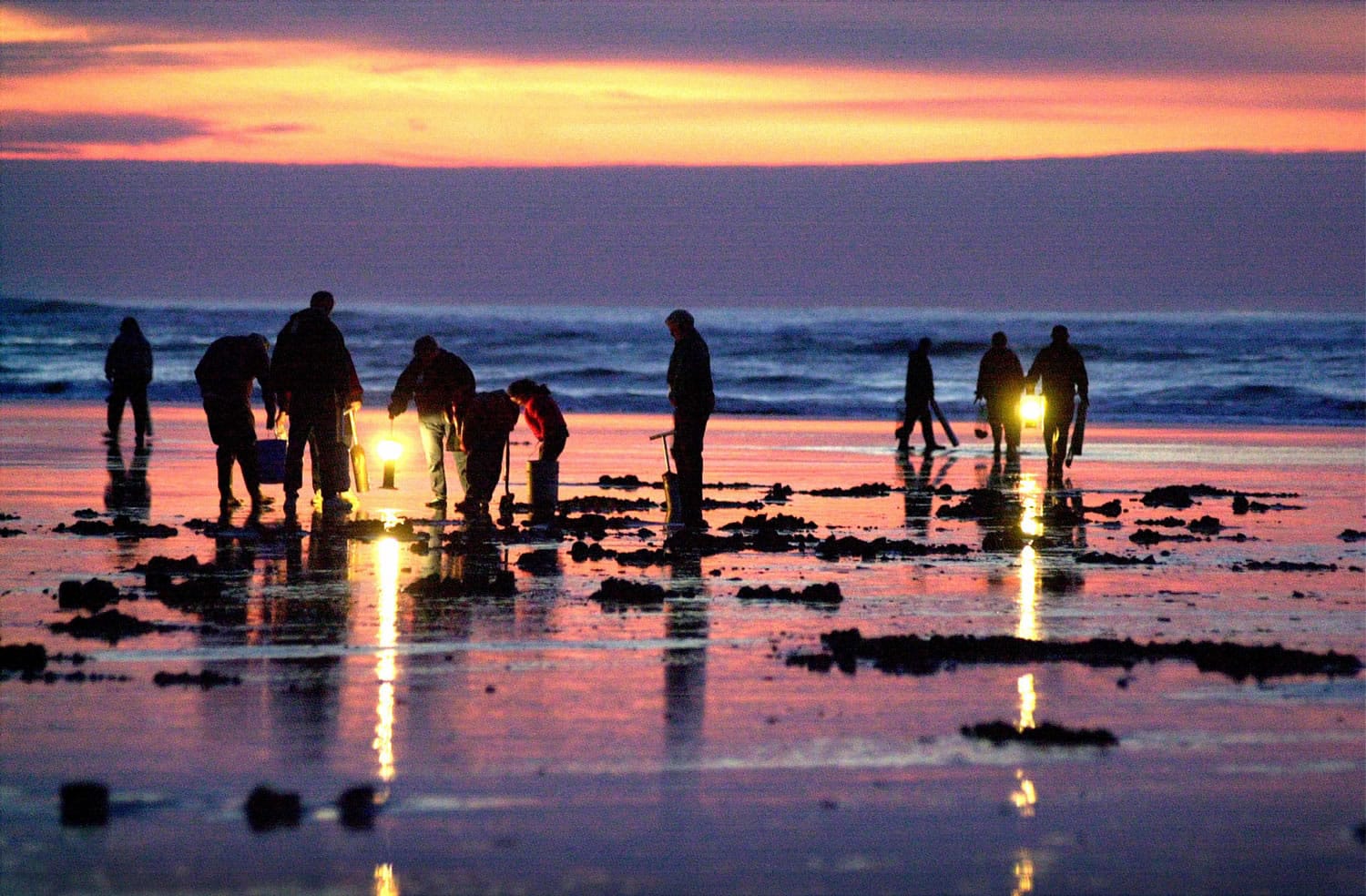 Razor clam dates are an economic shot in the arm to coastal comunities during the winter months.