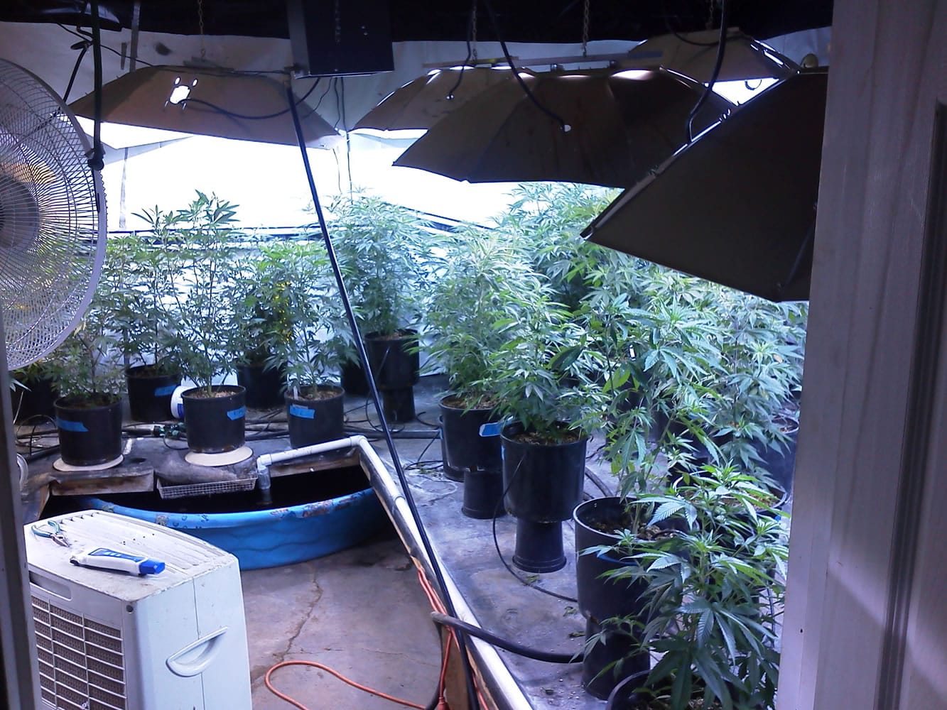 Officers with the Clark County Sheriff's Office Tactical Detective Unit and the Clark-Vancouver Regional Drug Task Force discovered an alleged illegal marijuana dispensary while conducting a warrant search of a house at 10509 N.E. 124th Ave.