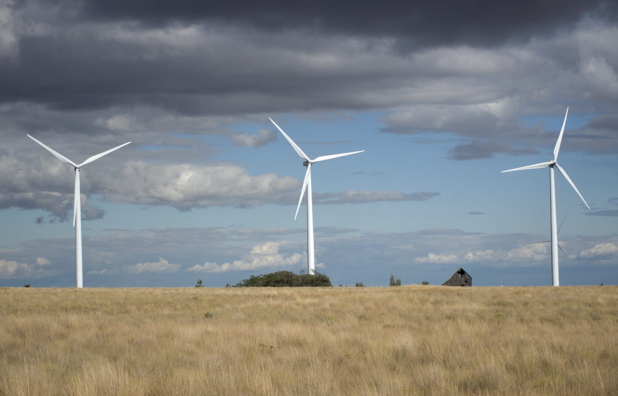 Hundreds of wind turbines rise from the dryland wheat country of eastern Klickitat County. On Monday, Gov.