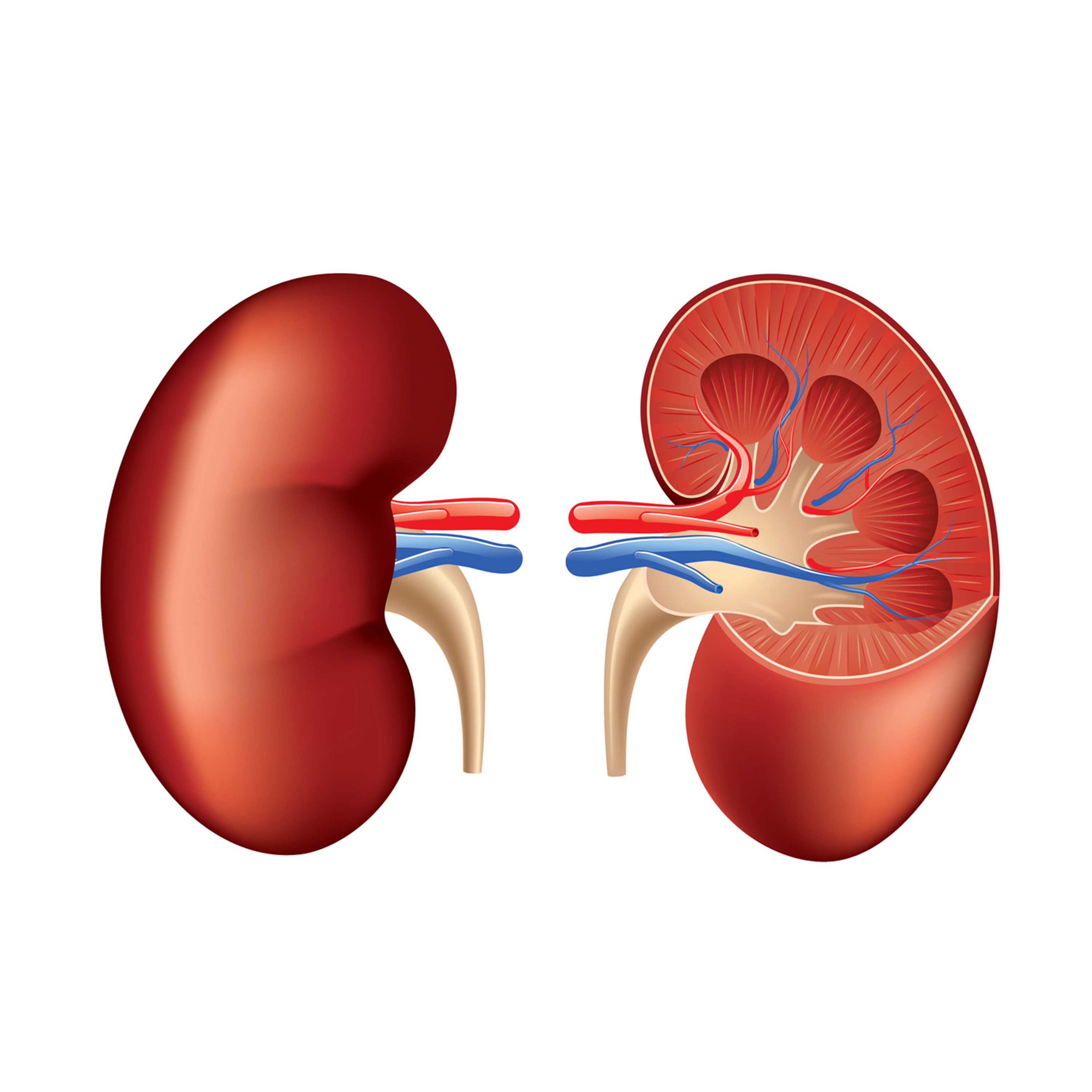 A new study shows that only one-third of patients who ultimately receive a living donor kidney transplant receive it before starting dialysis.