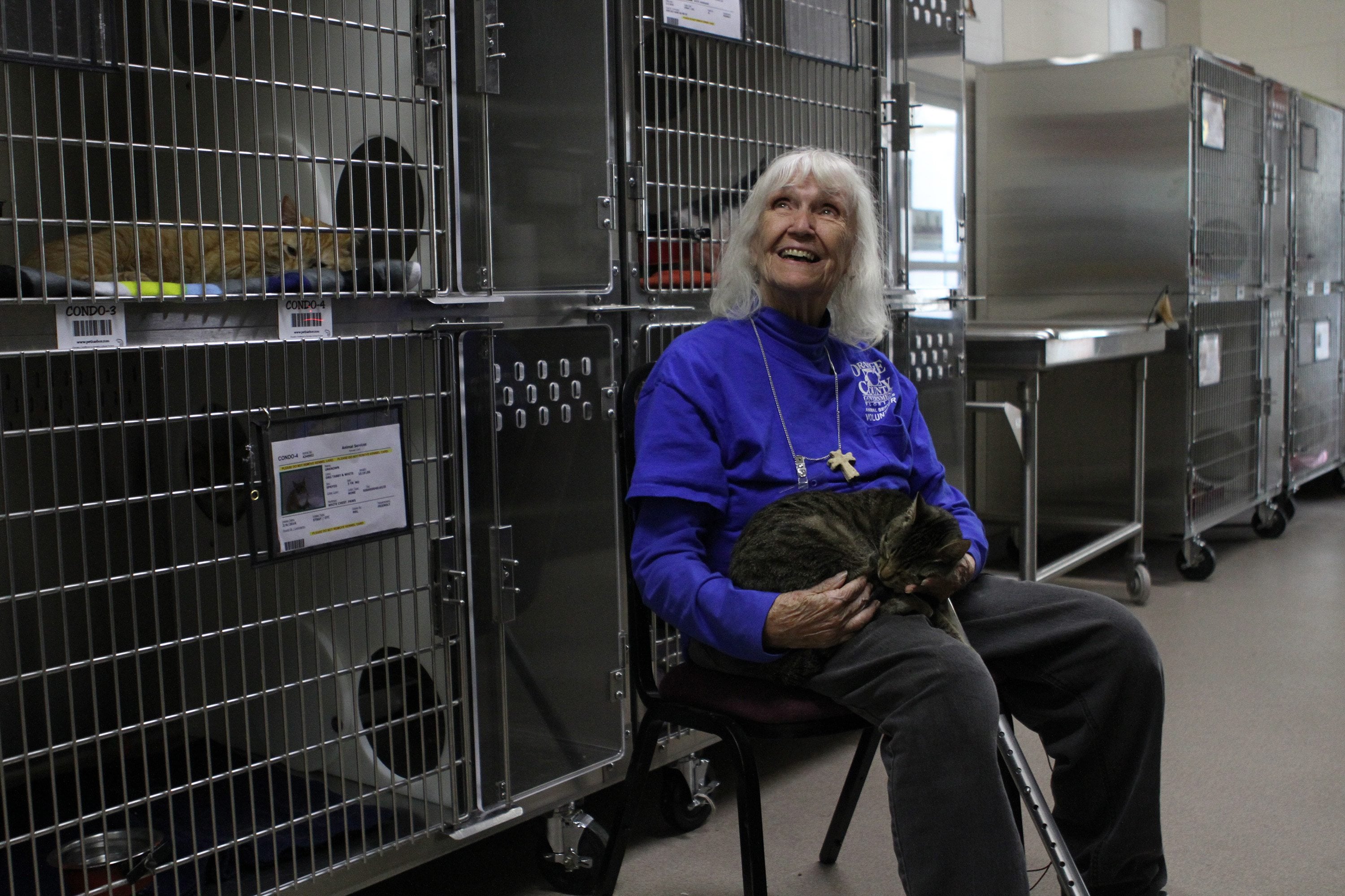 Fleur de Lys Healy, 85, visits the Orange County Animal Shelter at least once a week, every week, to look for her missing cat.