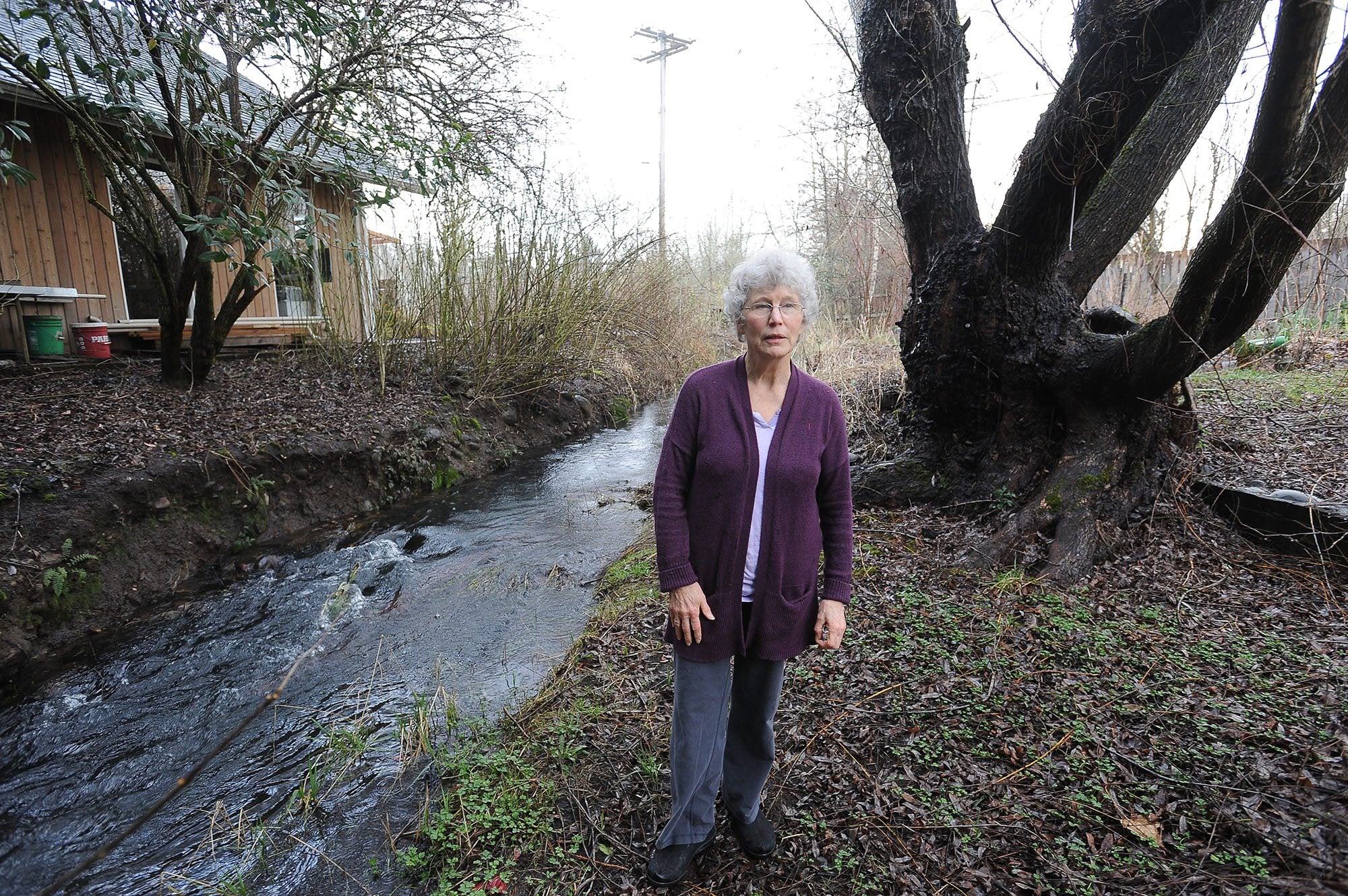 Eileen Anderson, who has lived alongside Peterson Creek for 41 years, was eager to accept help when the Vancouver Watersheds Alliance came knocking.