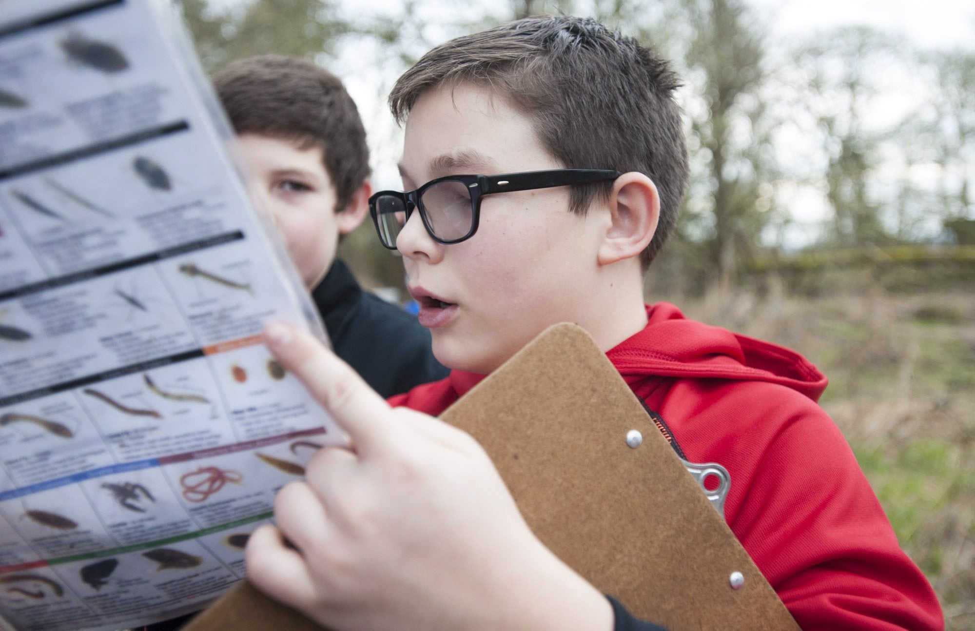 La Center Middle School sixth-grader Jeremiah Whobrey uses a chart to identify a waterborne specimen as his class takes a field trip Thursday at La Center Bottoms, where students worked with the  Lower Columbia Estuary Partnership to plant trees, watch birds and test water quality.