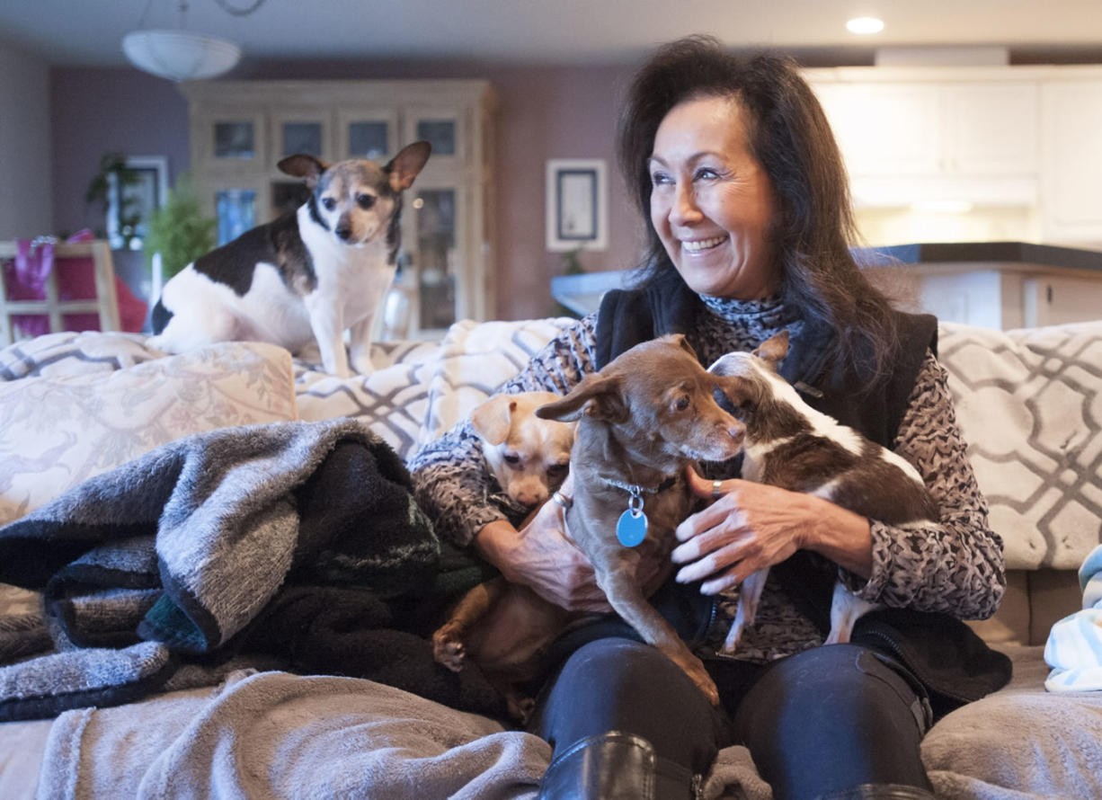At home in Camas, animal lover Caroline Reiswig gathers together her rescue dogs, the smallest of which is a 4.5-pound Chihuahua named &quot;Tiny.&quot; (Photos by Natalie Behring/ The Columbian)