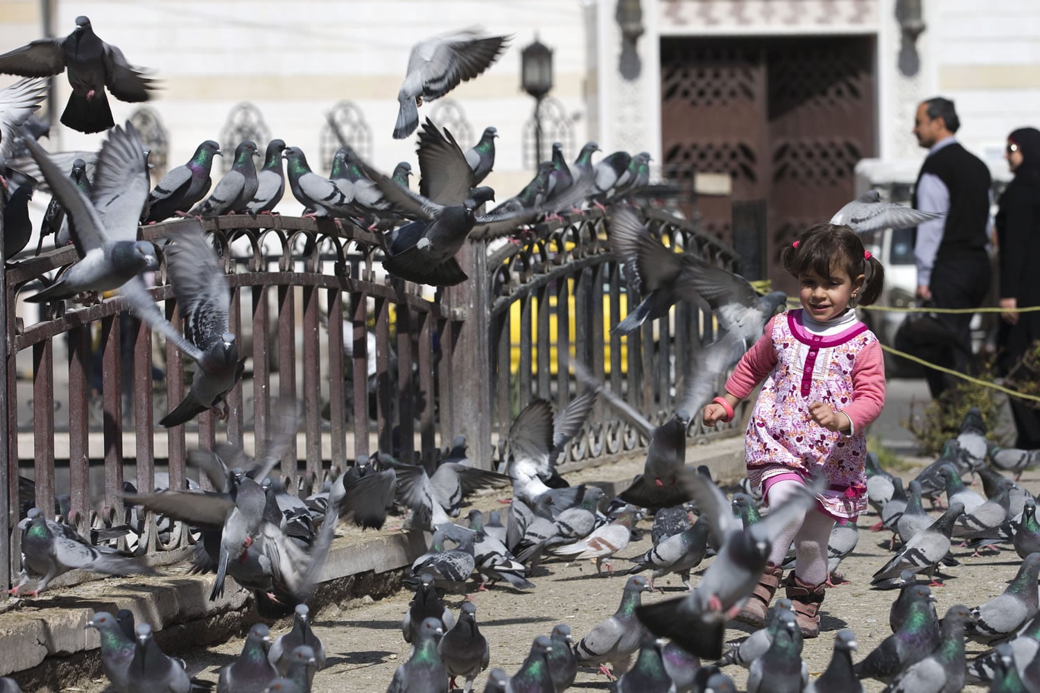 A Syrian girl chases pigeons in Marjeh Square, Damascus, Syria, Saturday, Feb. 27, 2016.