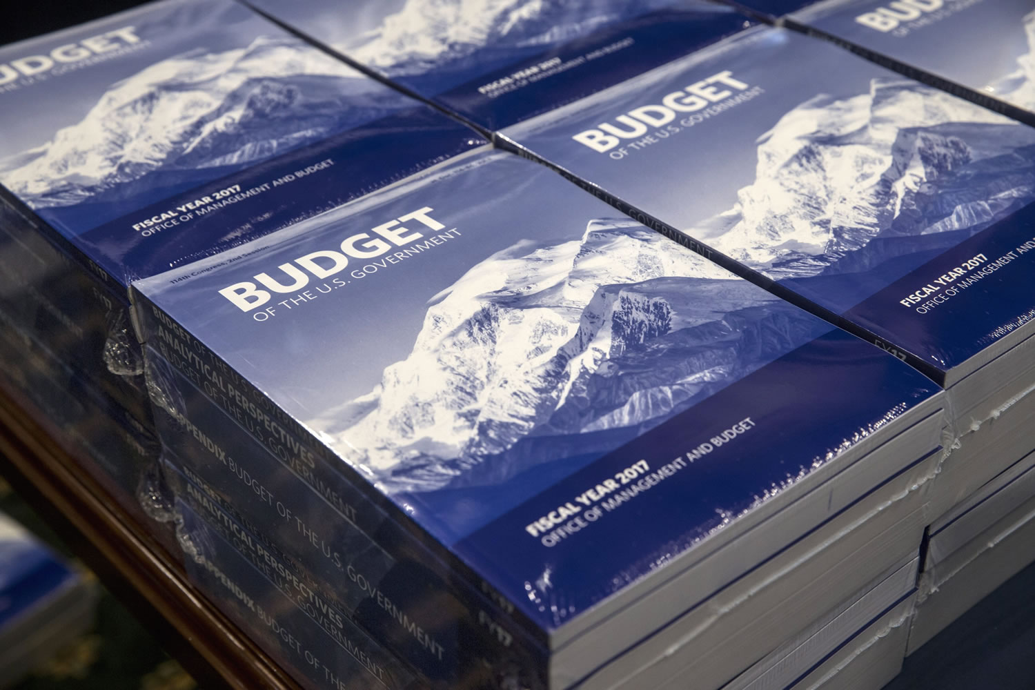 Copies of President Barack Obama&#039;s fiscal 2017 federal budget are displayed by the Senate Budget Committee on Tuesday, Feb. 9, 2016, on Capitol Hill in Washington. Leaders in the Republican-controlled Congress are already dismissing the president&#039;s spending blueprint and the chairs of the House and Senate budget committees will not hold the traditional hearings at which administration officials testify on behalf of Obama&#039;s proposals.  (AP Photo/J.