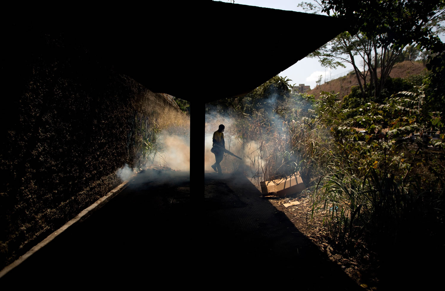 A municipal worker fumigates against the Aedes aegypti mosquito that transmits the Zika virus, in the Petare neighborhood of Caracas, Venezuela.