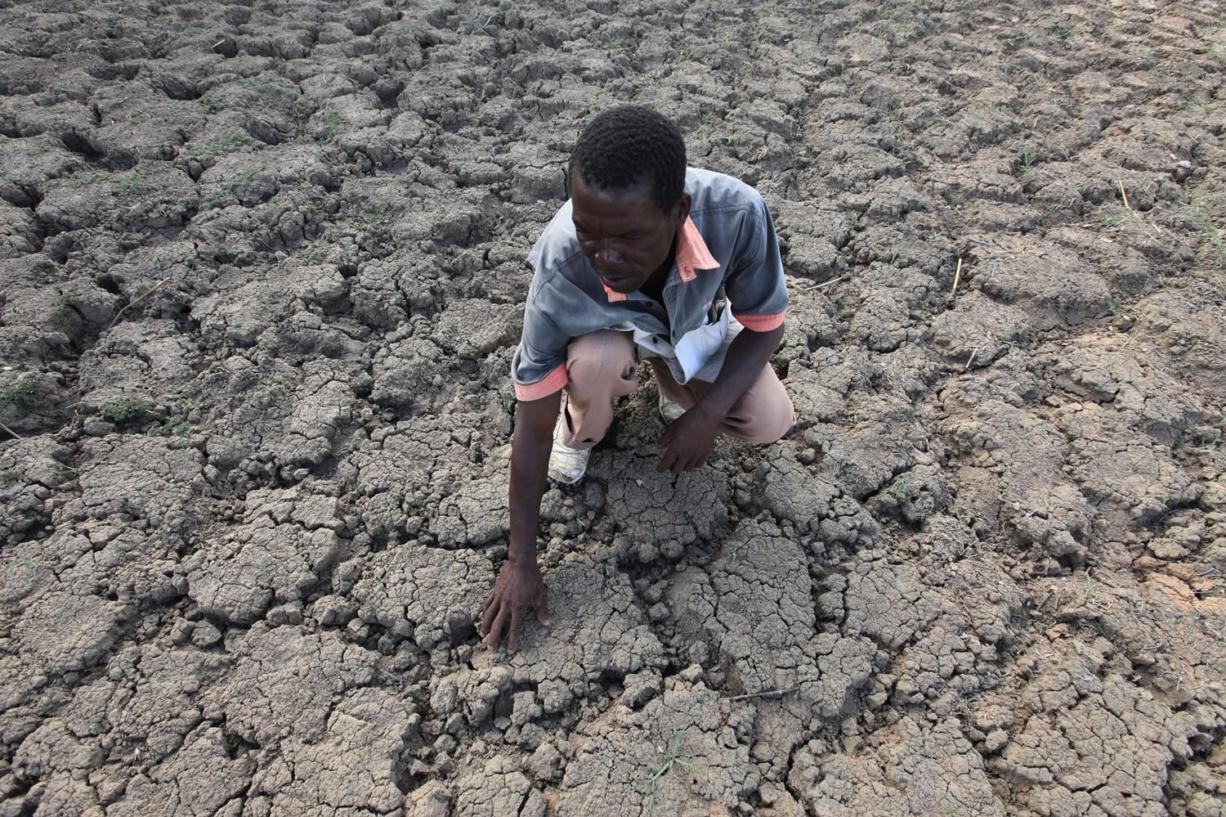 case study of drought in zimbabwe