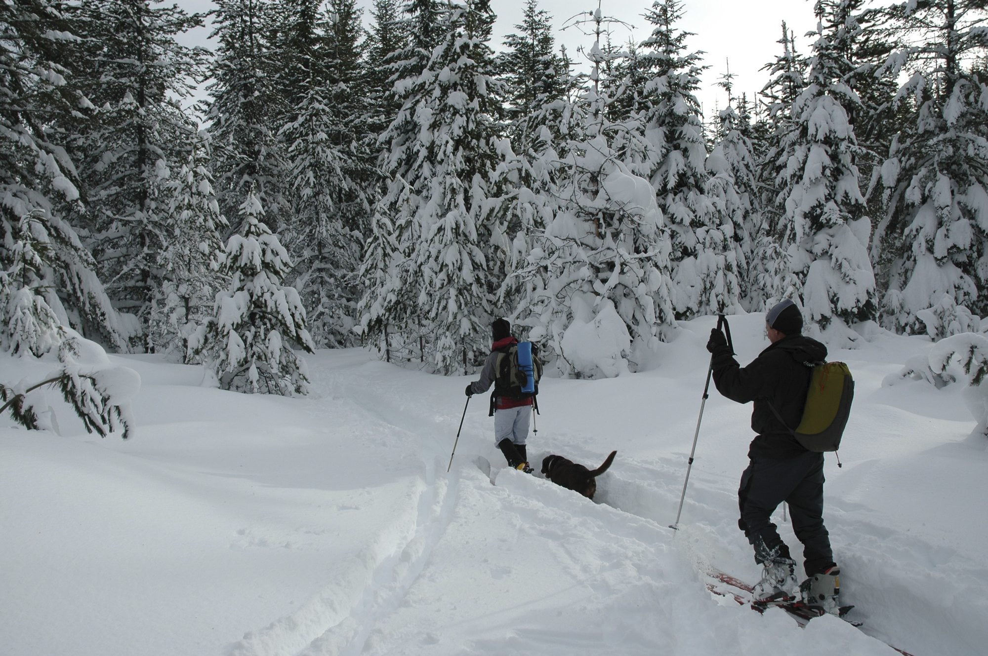 Cross-country skiers will find about 4 feet of snow on the trails at the headwaters of the Wind River.