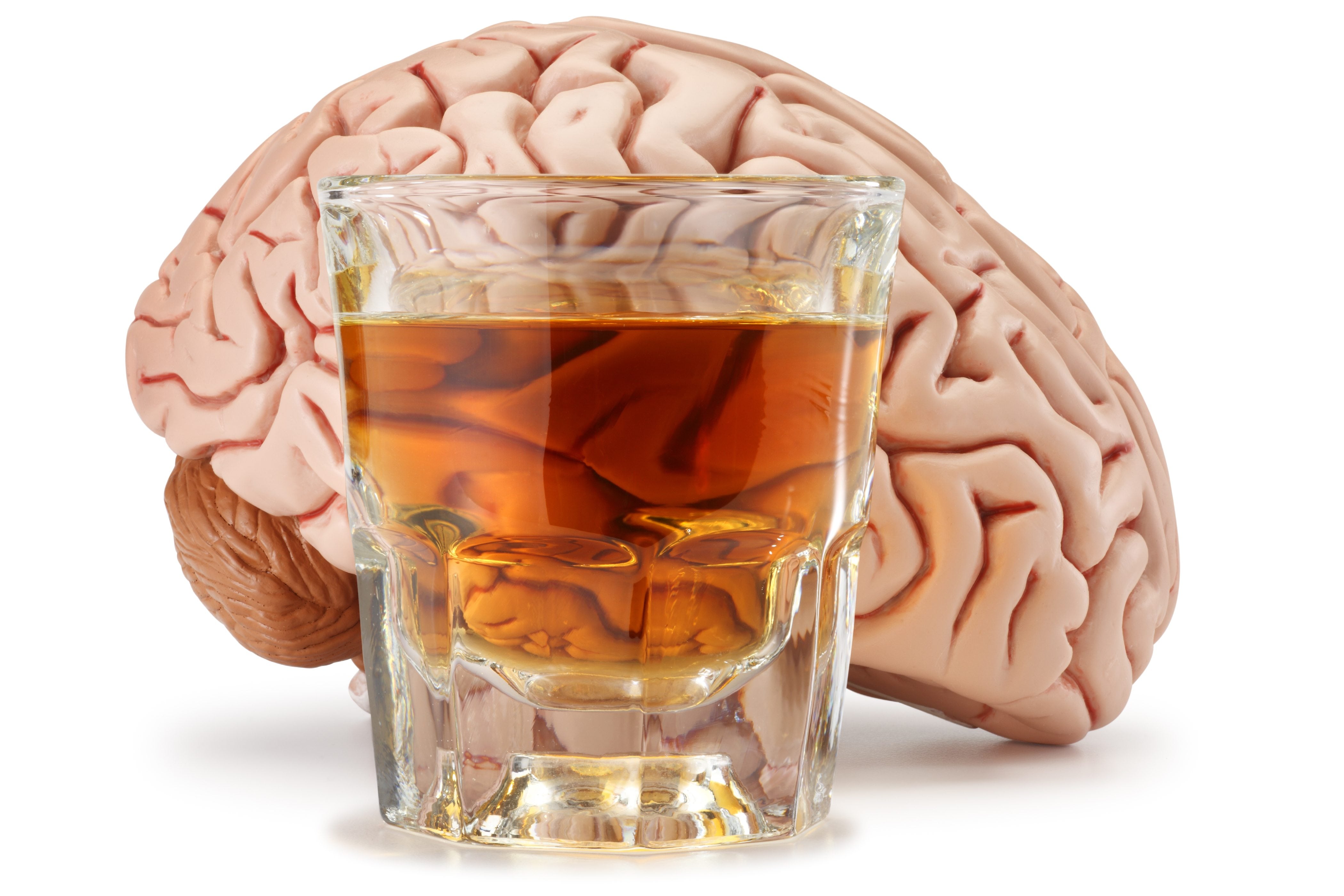 Researchers at Oregon Health &amp; Science University seek to understand how alcohol&#039;s impacts on the brain can determine who is at risk for alcohol addiction.