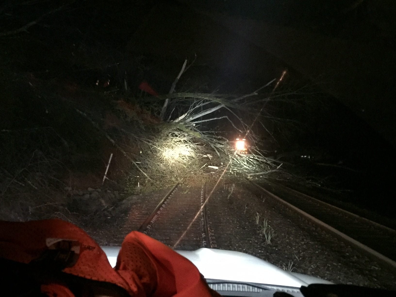 About 50 trees, some about 60-70 tall, blocked traffic over BNSF Railway lines north of Seattle over the weekend. Since Friday, railway crews have been busy addressing high water, slides and weather damage.