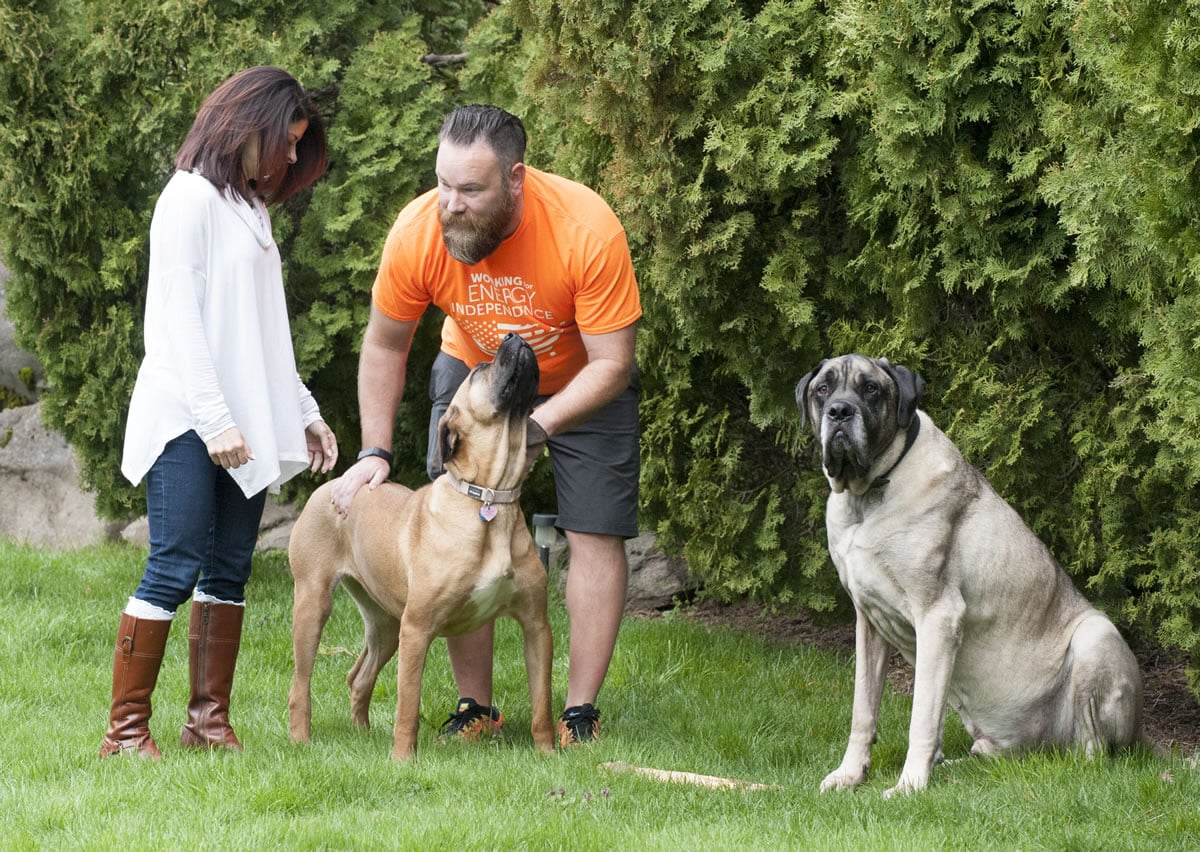Julia Tickerhoof and Jason Fish pat their dog, Kazi, who was saved from a Korean meat farm, on Wednesday in their Vancouver backyard as their English mastiff J.T. looks on.