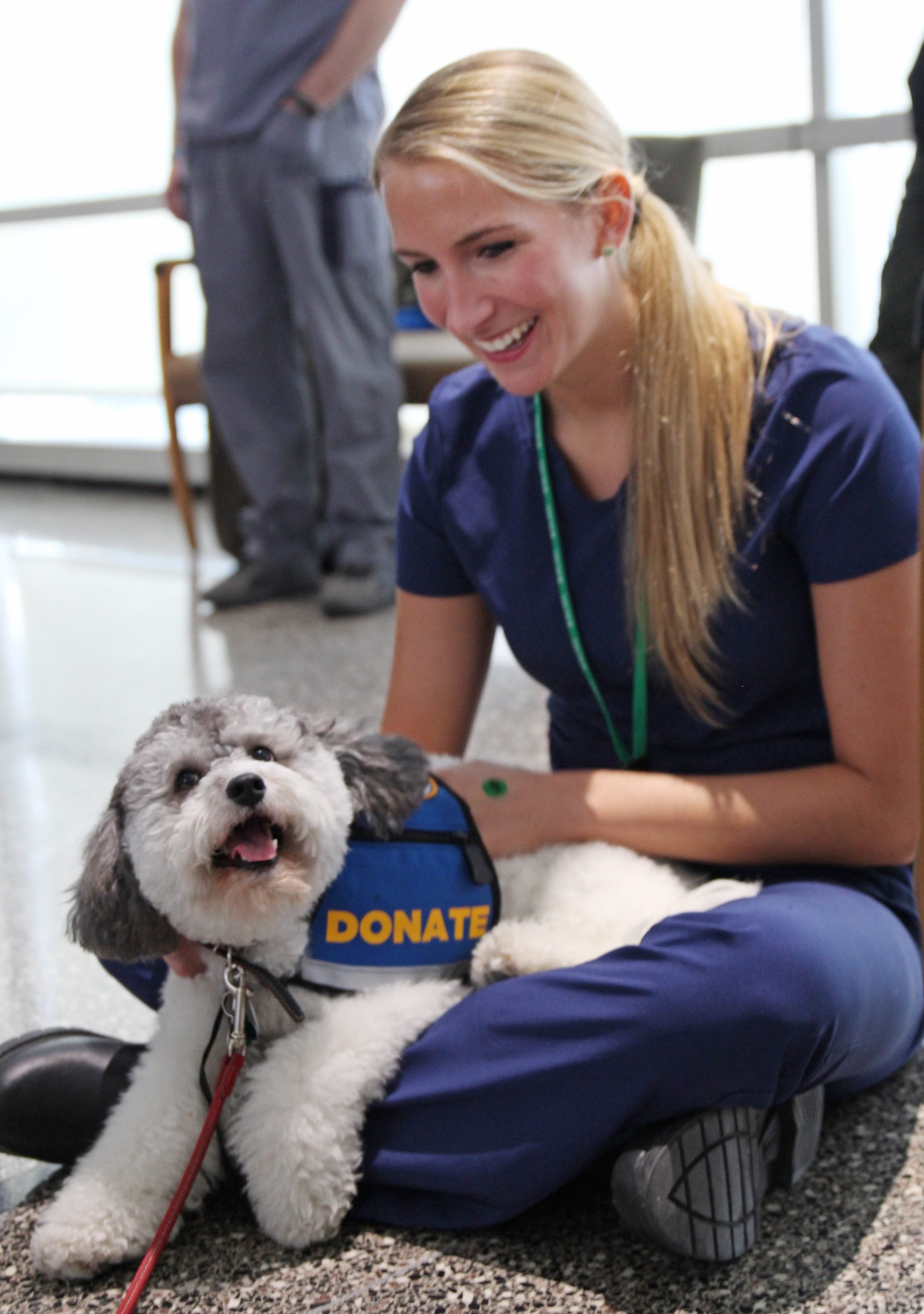 Medical assistant Loren White pets Minnie, a Labradoodle mix at Rush University Medical Center in Chicago.  The medical center has offered monthly sessions animal therapy for over a year as an employee health and satisfaction program, using dogs from a local shelter and an animal therapy group. Recently, Rush nurses launched a study to see if the program has tangible effects on employee stress and morale.