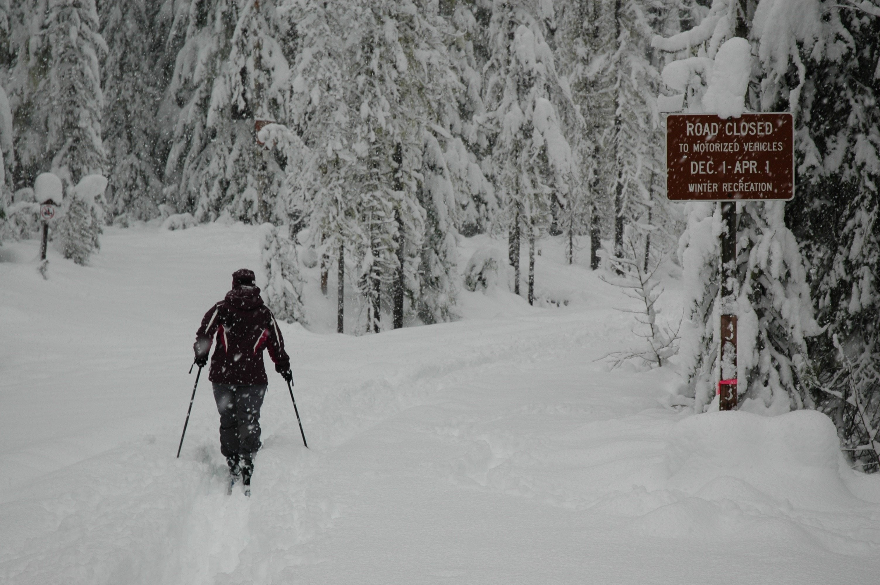 Most backcountry areas in the southern Gifford Pinchot National Forest got 18 to 24 inches of new snow in the past week.