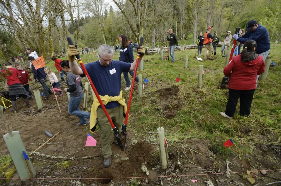 Volunteer Jon Gibert digs a hole during an Earth Day event at Salmon Creek Regional Park in 2013.