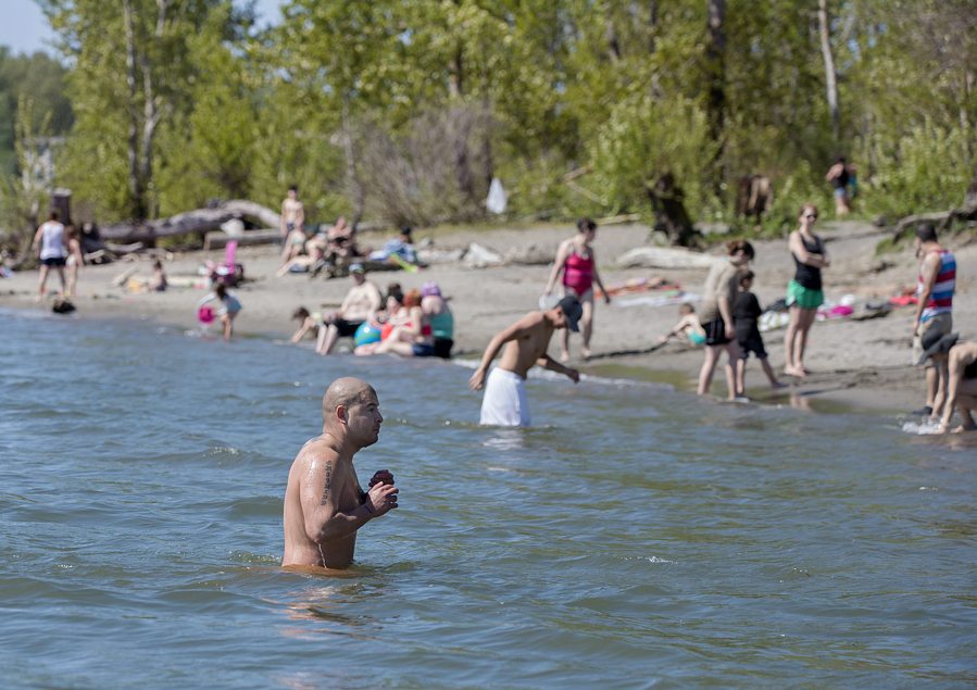 Rob Grijalva of Vancouver braves chilly water in the Columbia River on Thursday afternoon at Wintler Park in Vancouver.